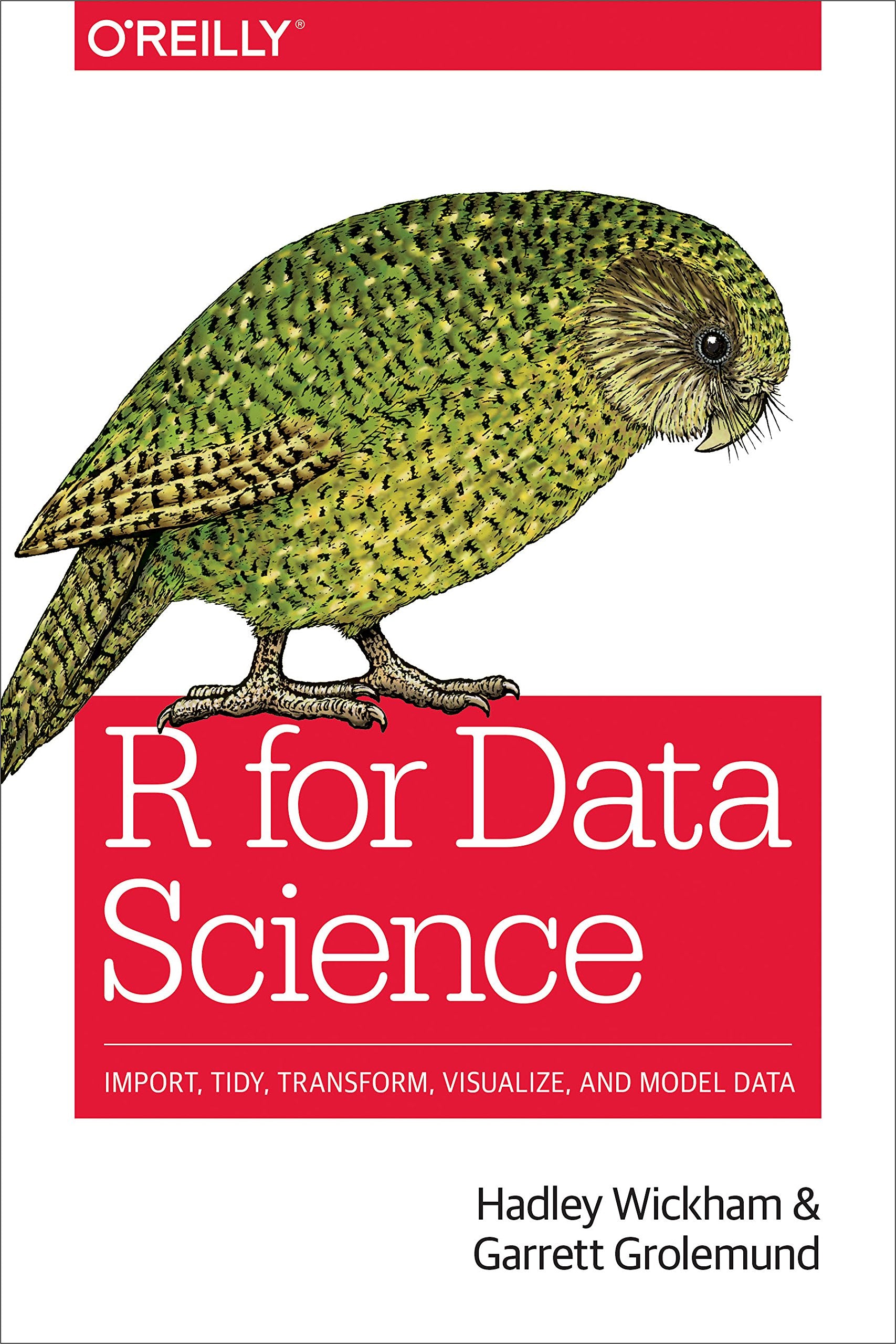 R for Data Science: Import, Tidy, Transform, Visualize, and Model Data,Used