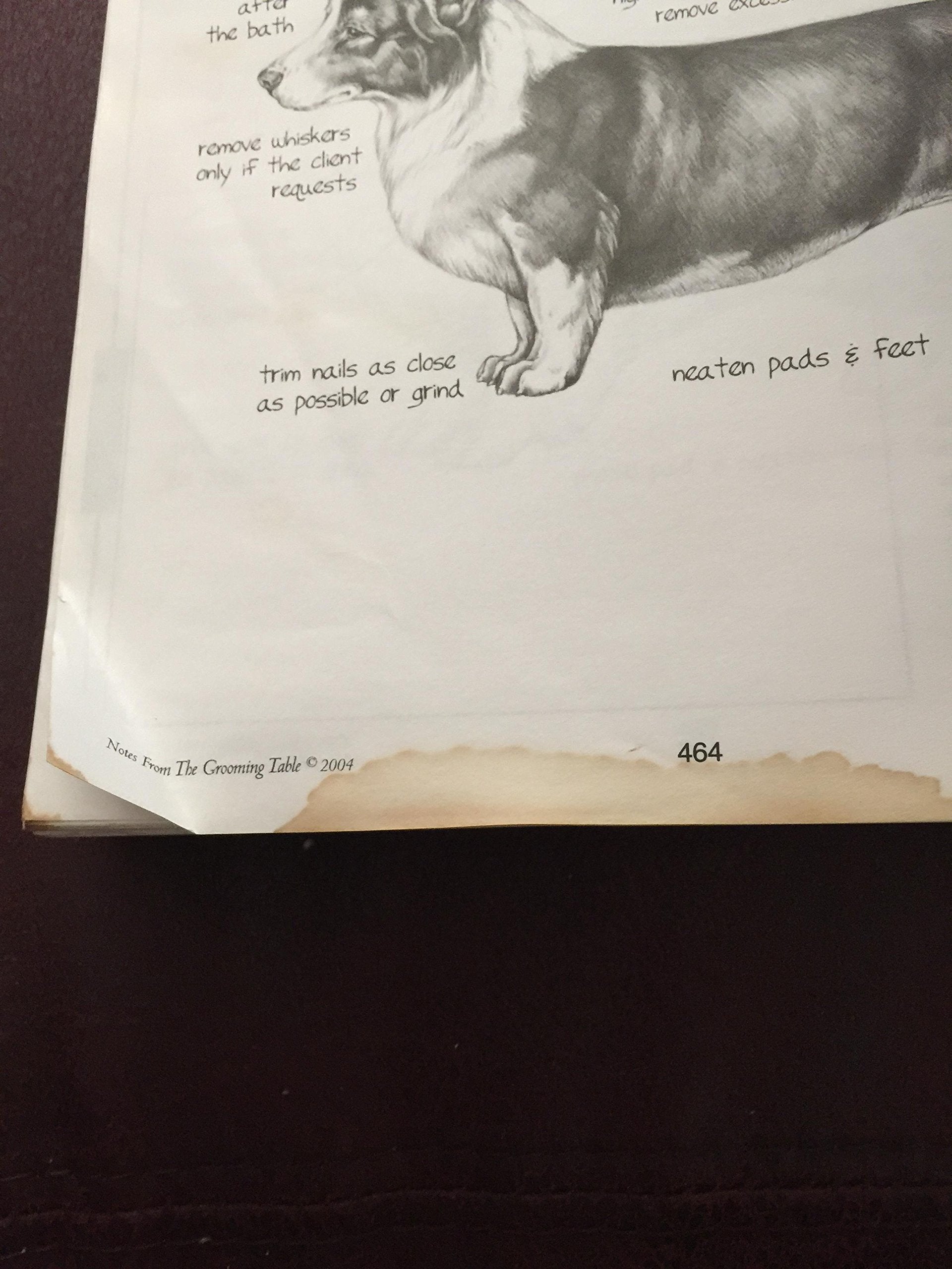 Notes From The Grooming Table by Melissa Verplank,Used