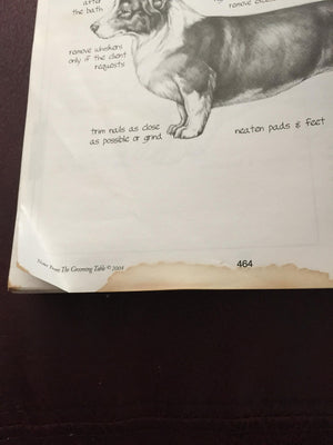 Notes From The Grooming Table by Melissa Verplank,Used