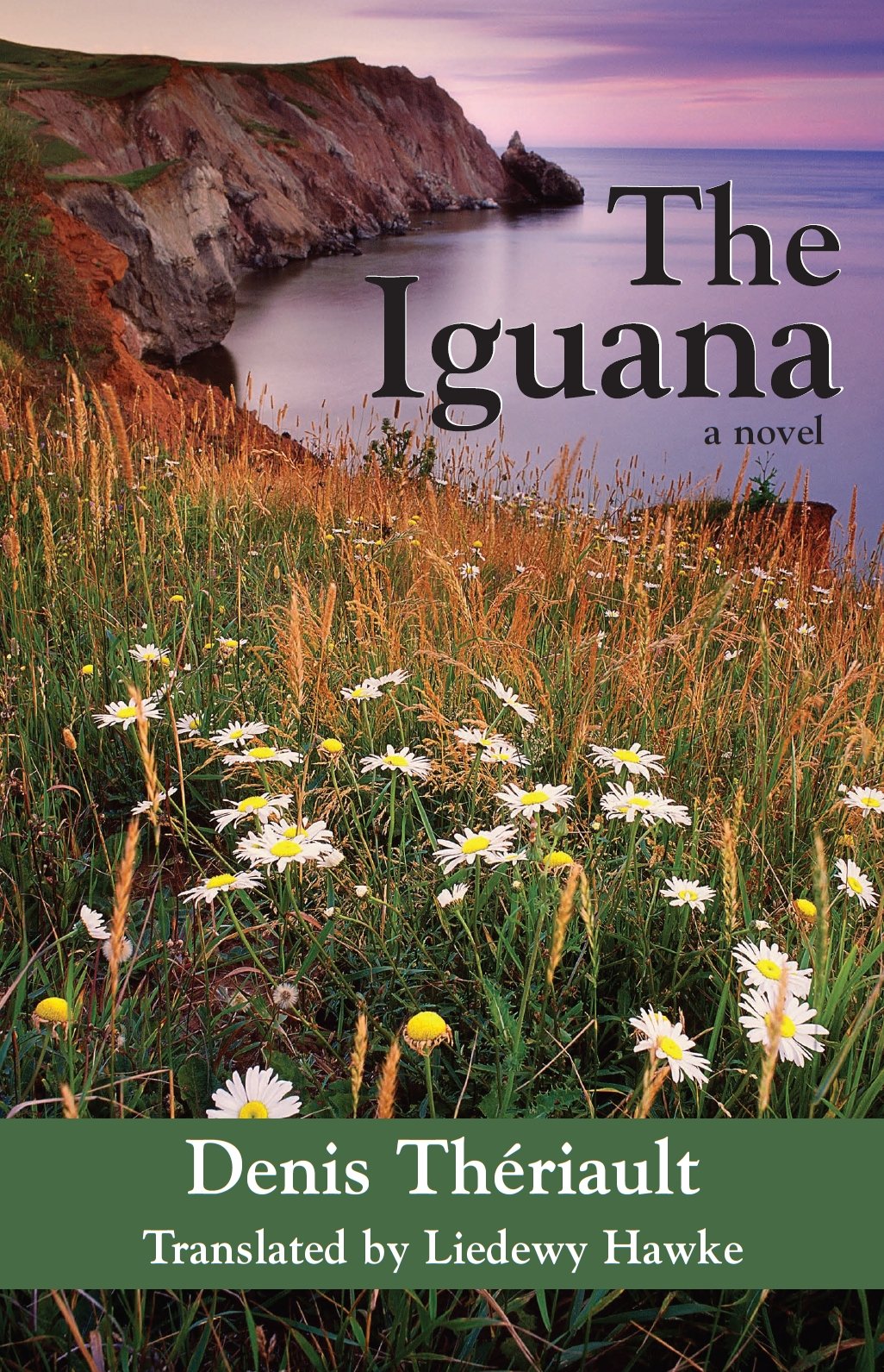 The Iguana,Used
