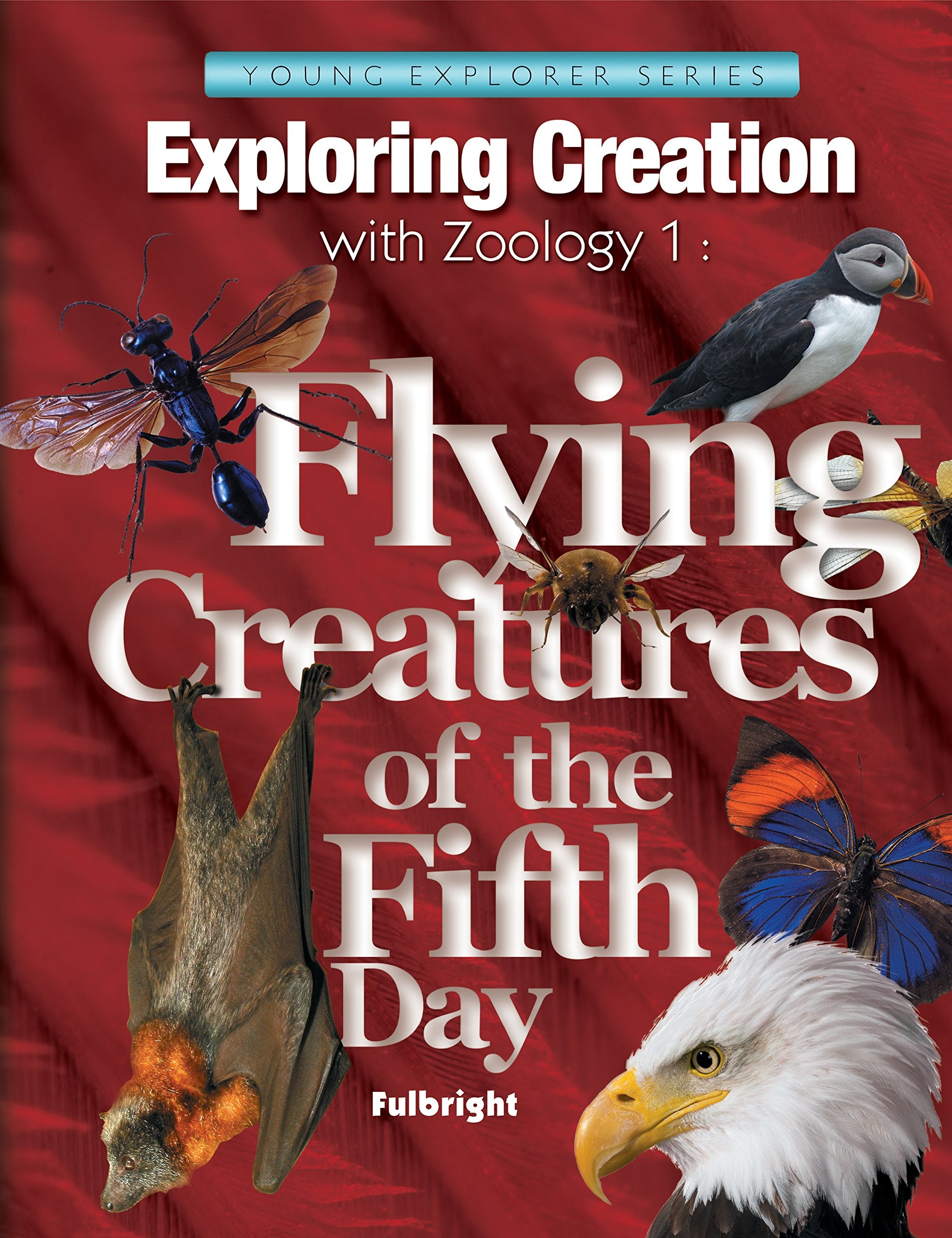 Exploring Creation with Zoology 1: Flying Creatures of the Fifth Day,Used
