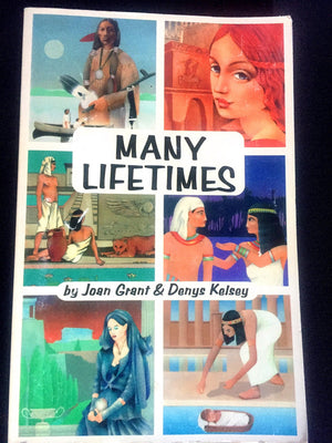 Many Lifetimes-used