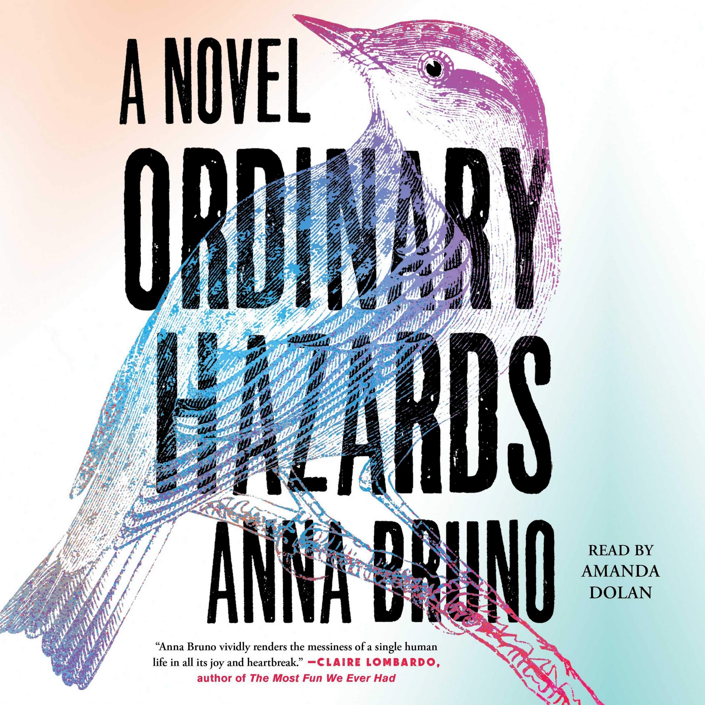 Ordinary Hazards: A Novel,Used