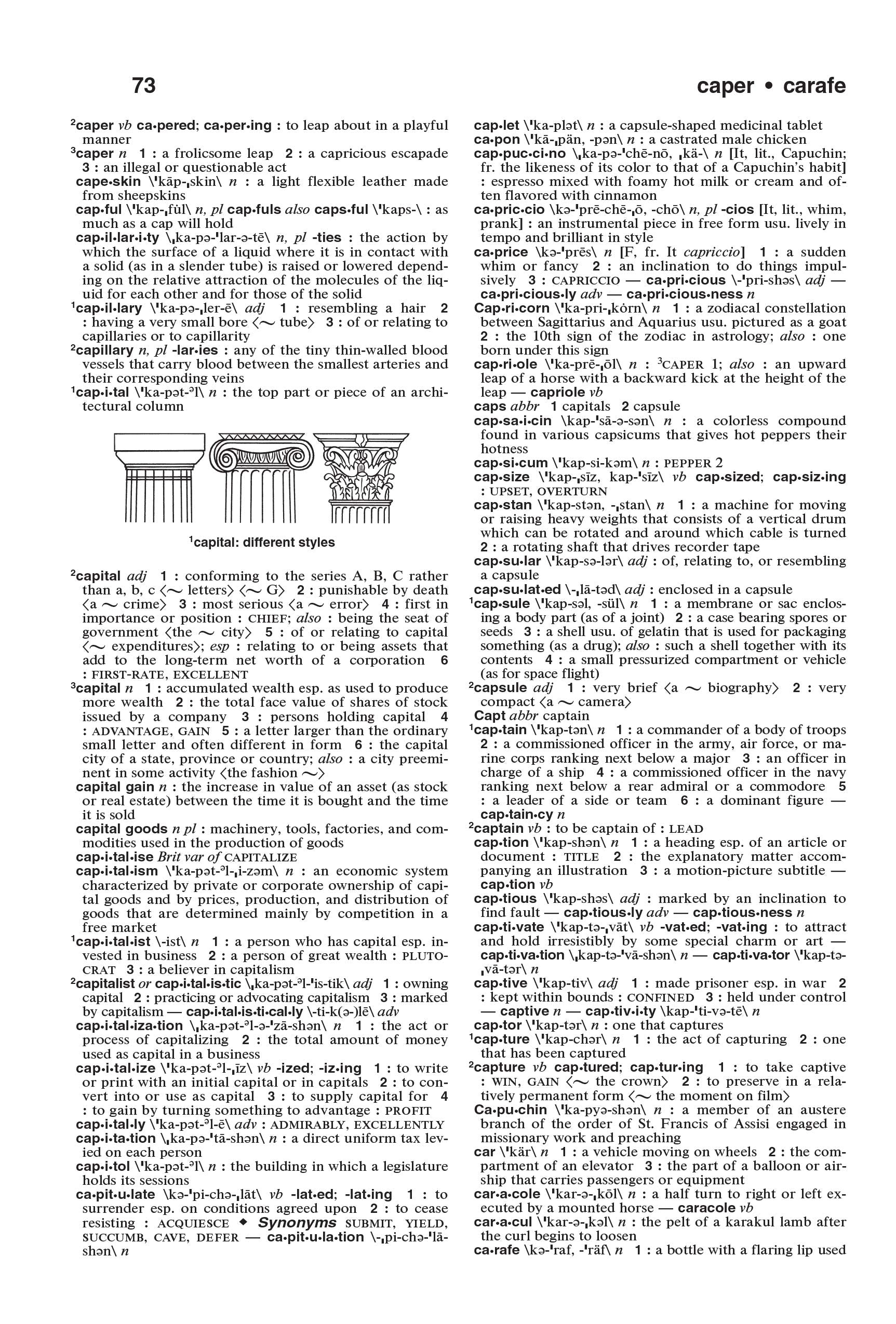 The MerriamWebster Dictionary, Trade Paperback, Newest Edition,New