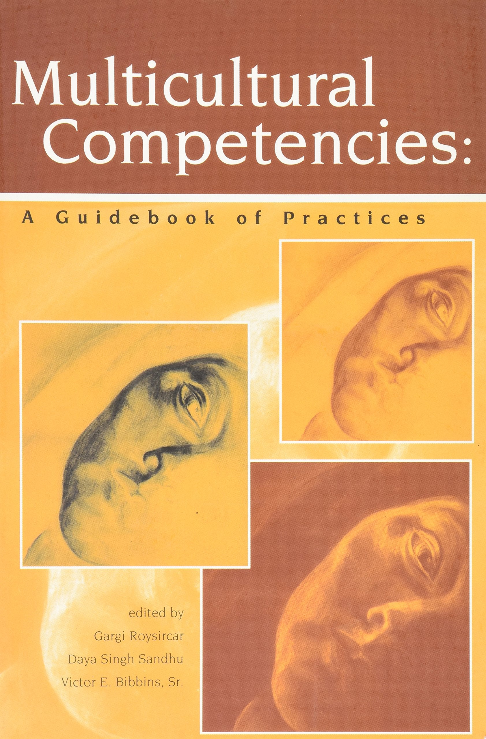 Multicultural Competencies: A Guidebook of Practices,Used