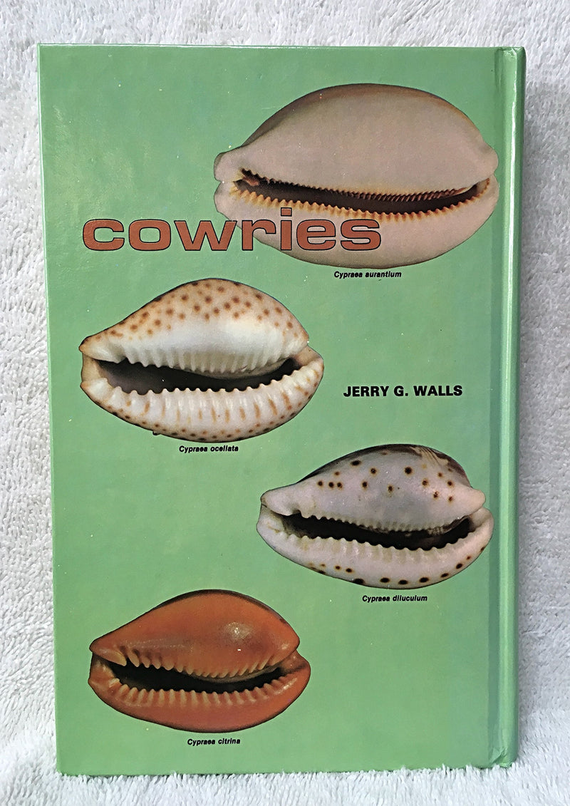Cowries,Used