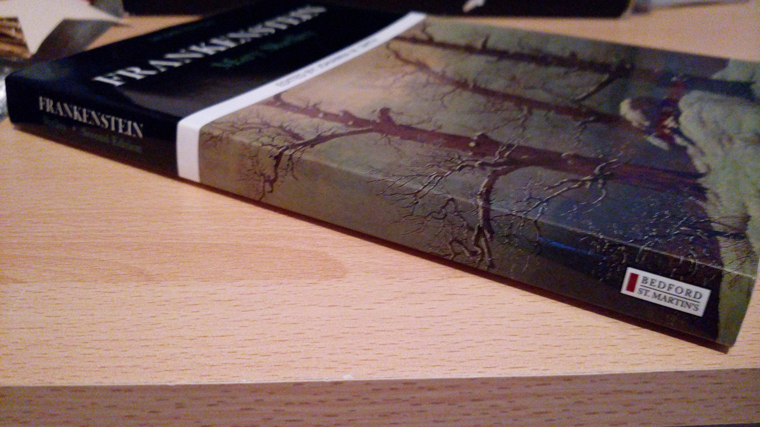 Frankenstein (Case Studies in Contemporary Criticism),Used