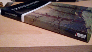 Frankenstein (Case Studies in Contemporary Criticism),Used