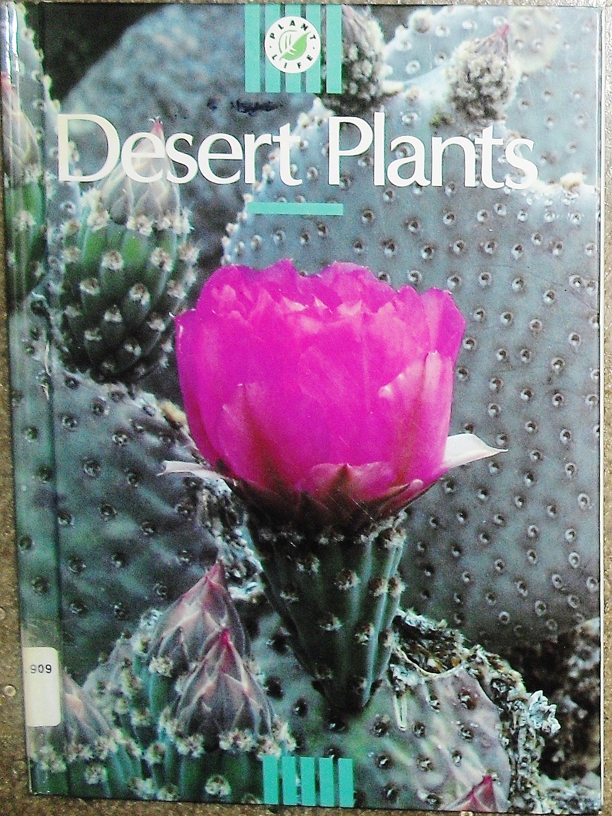 Desert Plants (Plant Life Series),Used