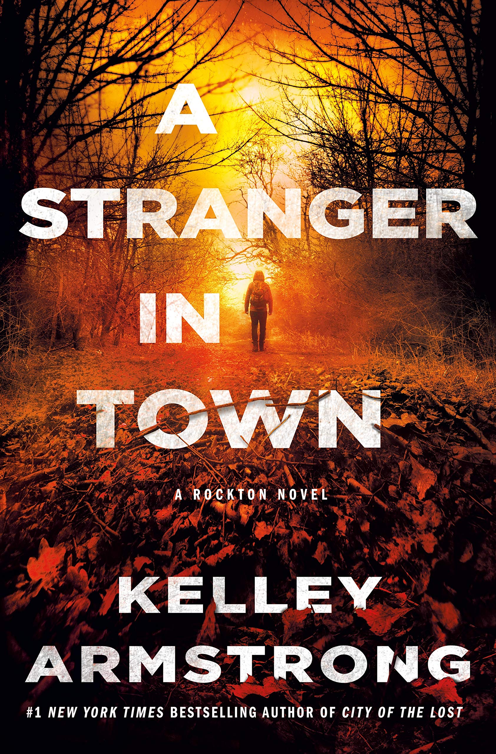 A Stranger In Town: A Rockton Novel (Casey Duncan Novels, 6)