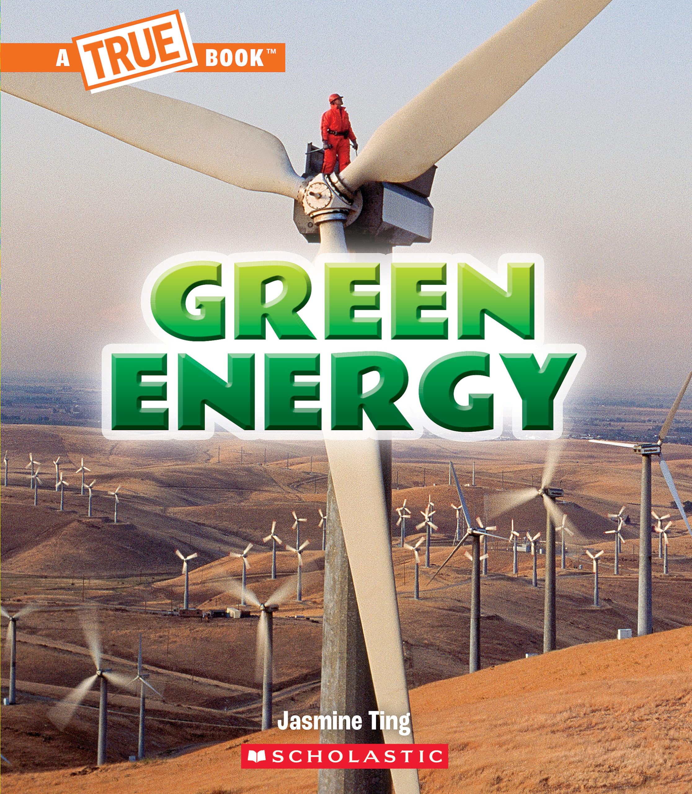 Green Energy (A True Book: A Green Future) (A True Book (Relaunch)),Used