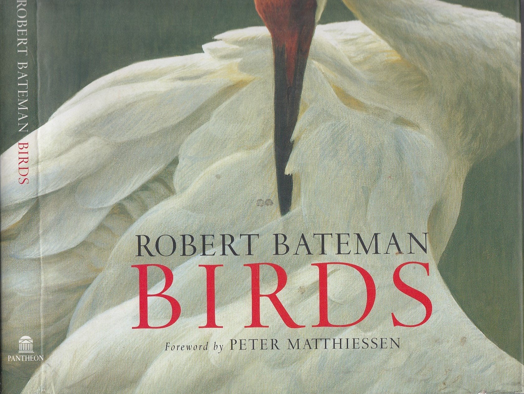 Short Course B: Animals (Invertebrates, Fishes, Amphibians, Reptiles, Birds, Mammals) ANNOTATED TEACHER'S EDITION (Holt Science&,Used