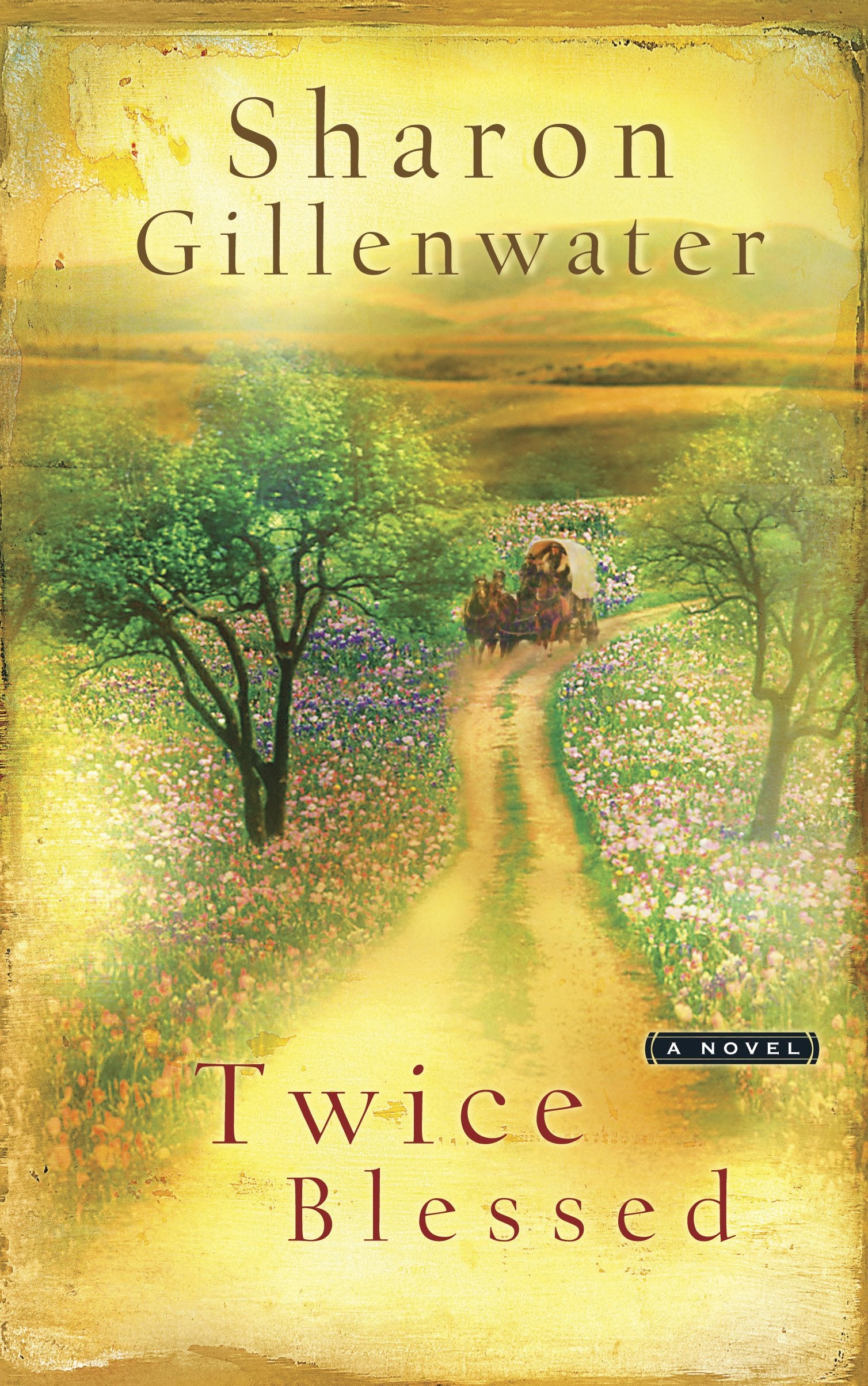 Twice Blessed (Steeple Hill Women's Fiction #10),Used