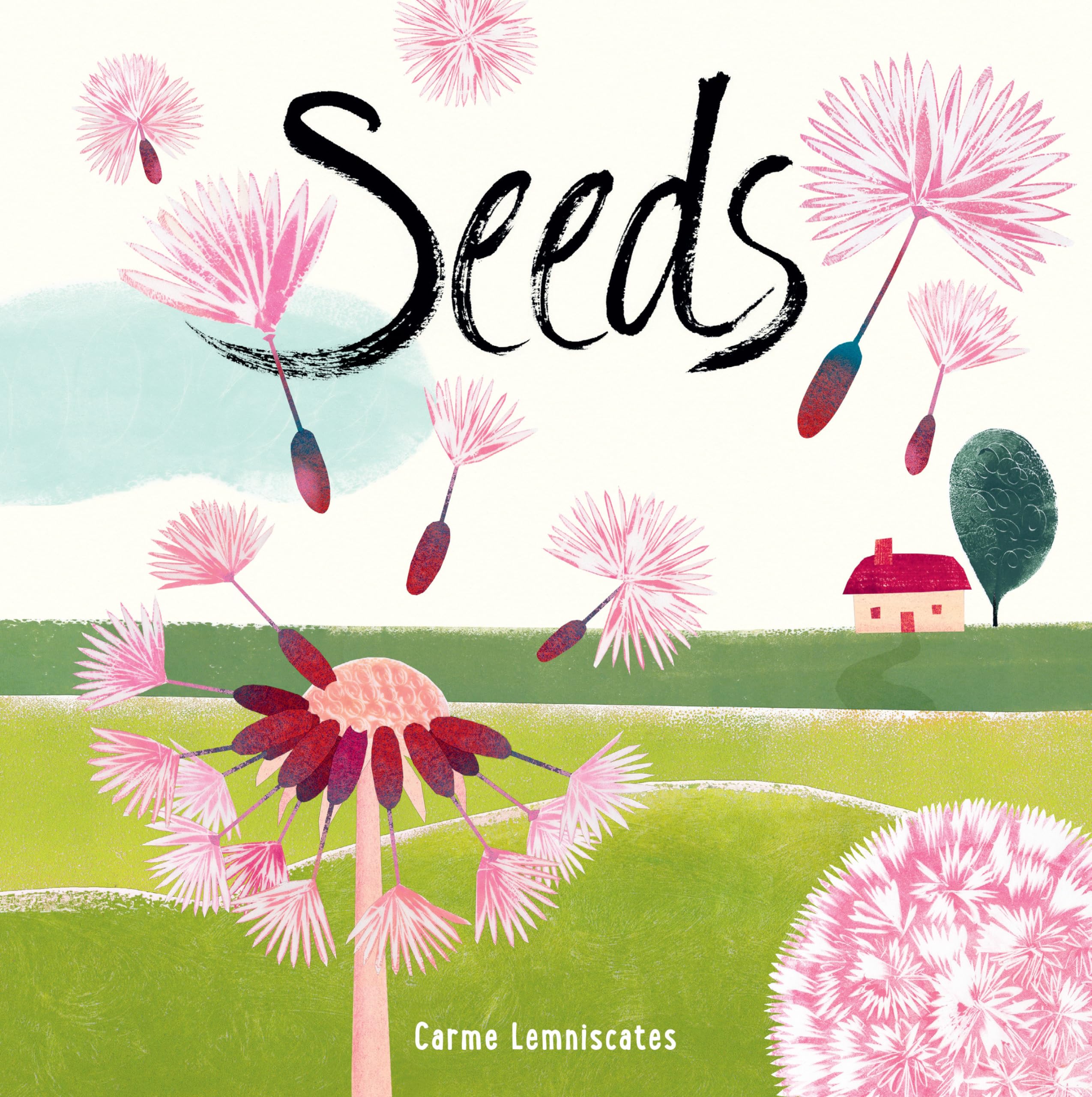 Seeds,Used