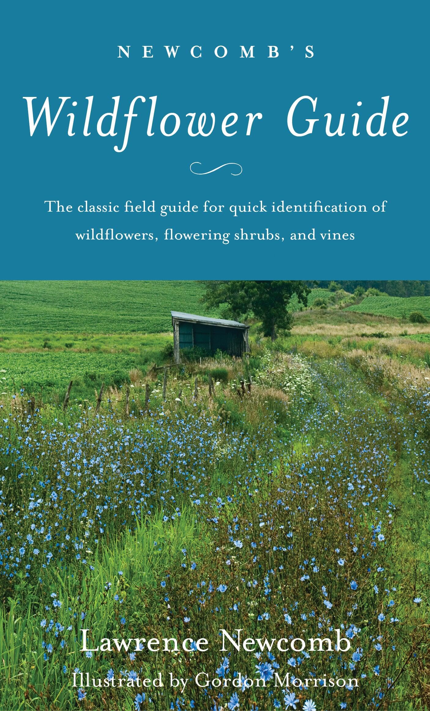 Newcomb's Wildflower Guide,Used