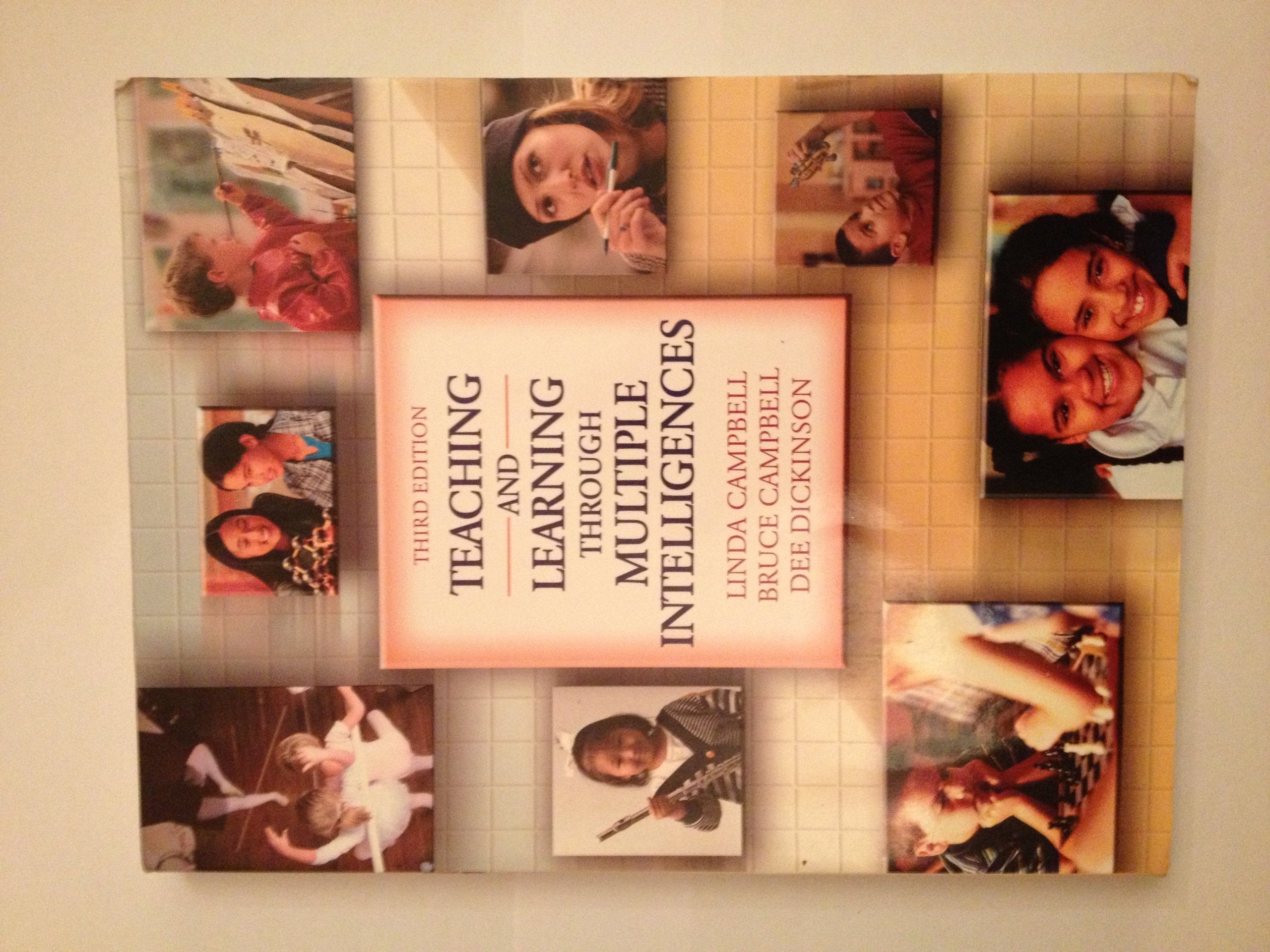 Teaching and Learning Through Multiple Intelligences (3rd Edition),Used