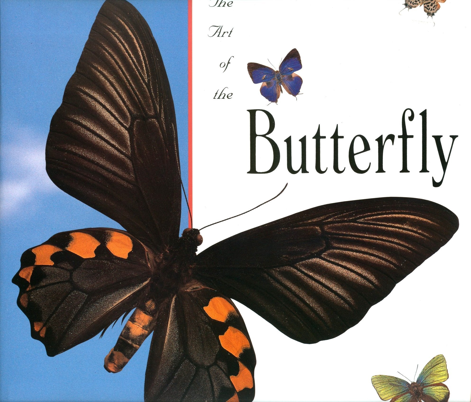 The Art of the Butterfly,Used