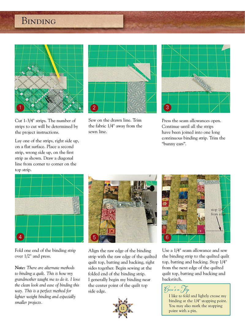 Scrappy Firework Quilts: A Burst of Strips, Scraps & Triangles; 19 Gorgeous Quilting Projects; Five StepbyStep Techniques (Lan,Used