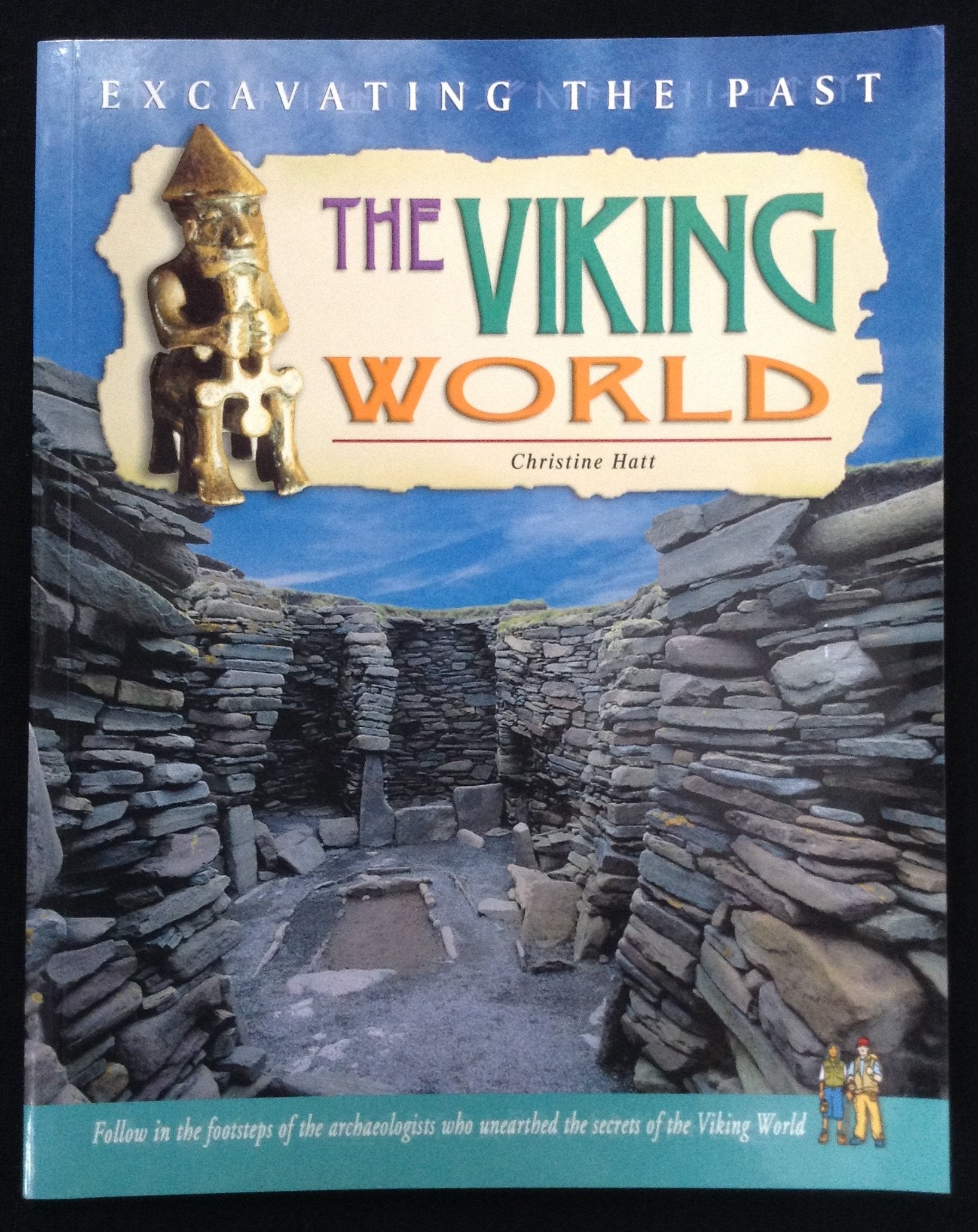 The Viking World (Excavating the Past),Used