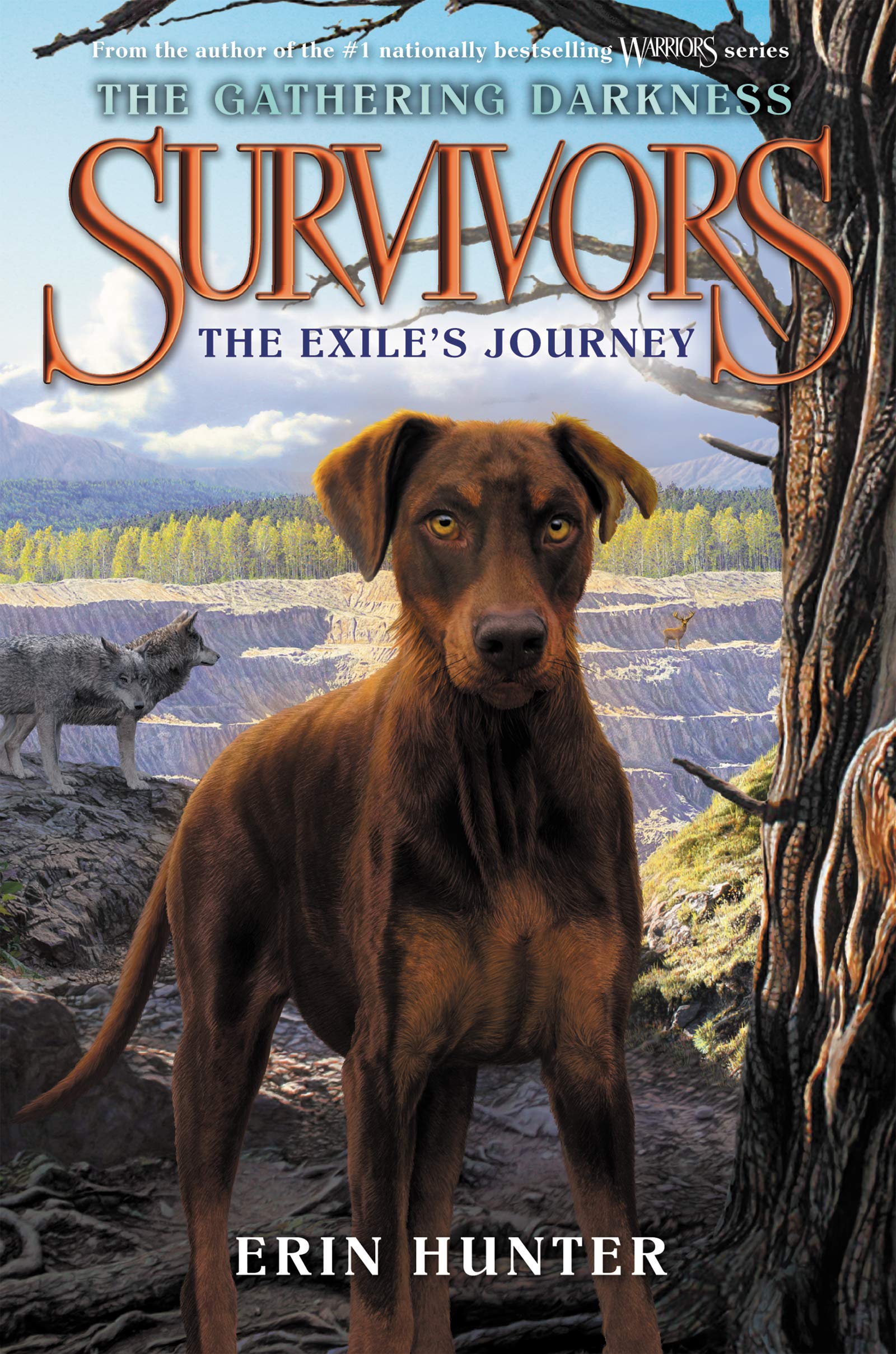 Survivors: The Gathering Darkness #5: The Exile's Journey,New