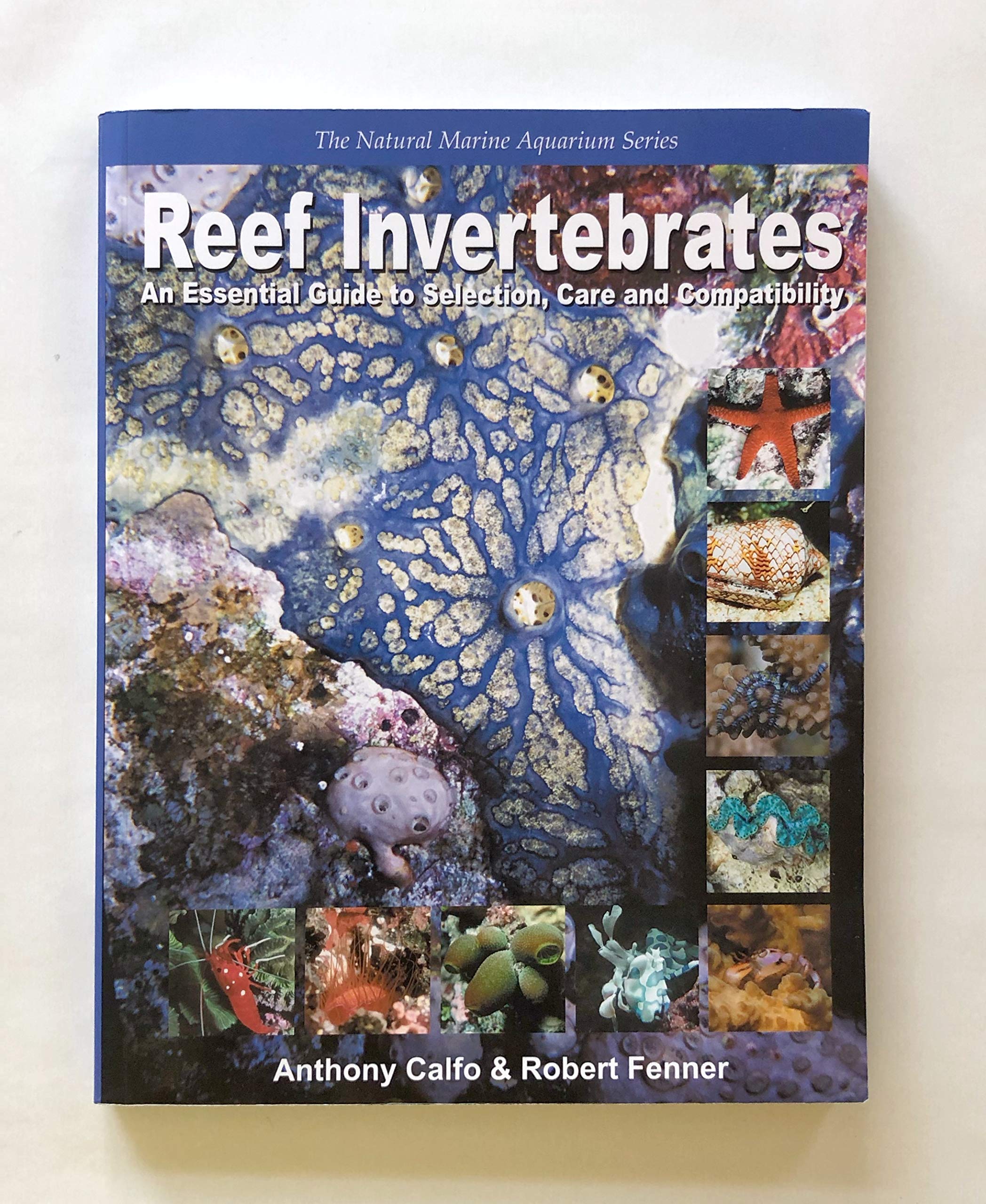 Reef Invertebrates: An Essential Guide To Selection, Care And Compatibility