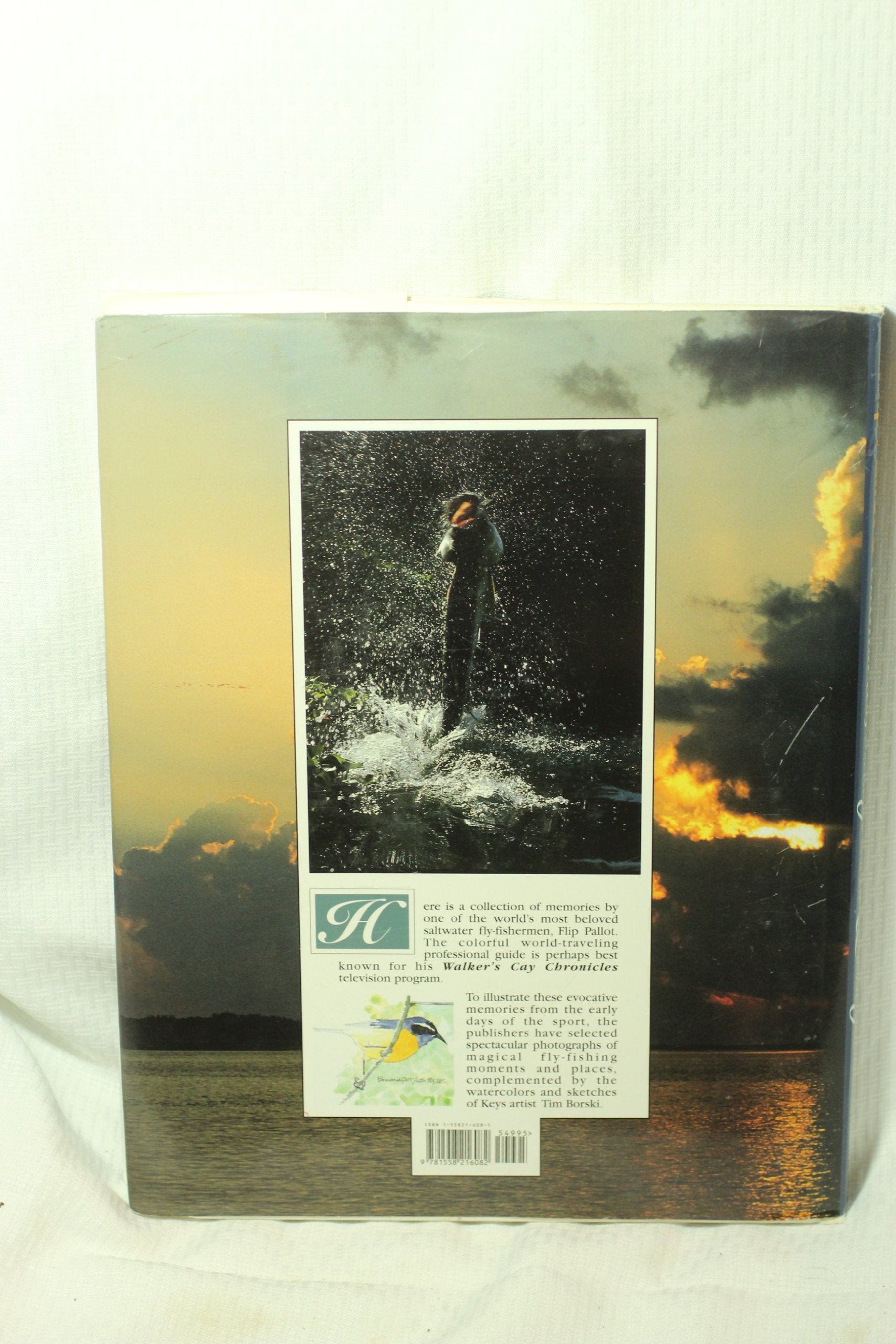 Memories, Mangroves & Magic,Used