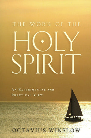 The Work of the Holy Spirit: An Experimental and Practical View,Used