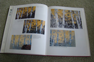 Monotype: Mediums and Methods for Painterly Printmaking,Used