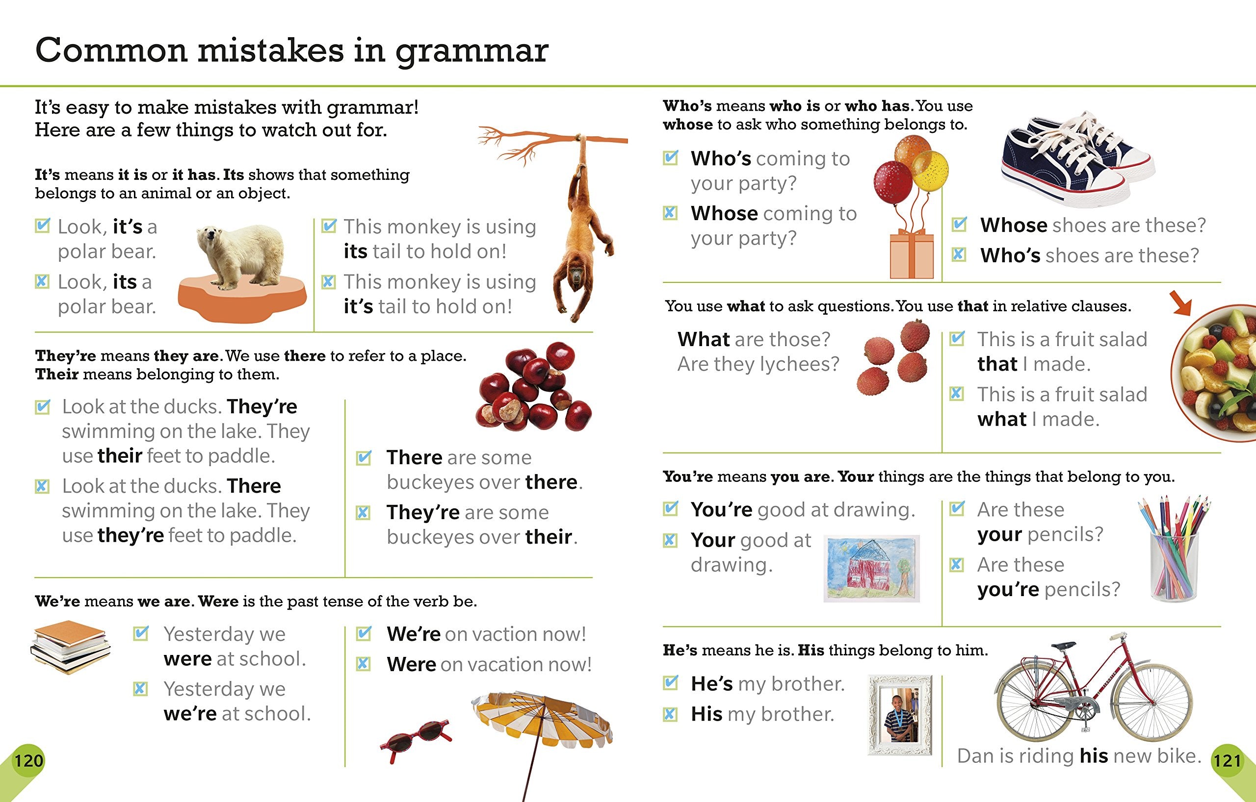 Visual Guide to Grammar and Punctuation,Used