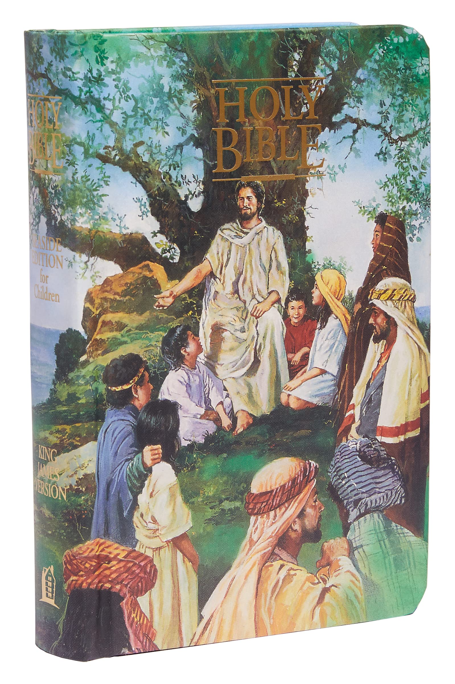 KJV Classic Children's Bible, Seaside Edition, Fullcolor Illustrations (Hardcover): Holy Bible, King James Version (Kjv110),New