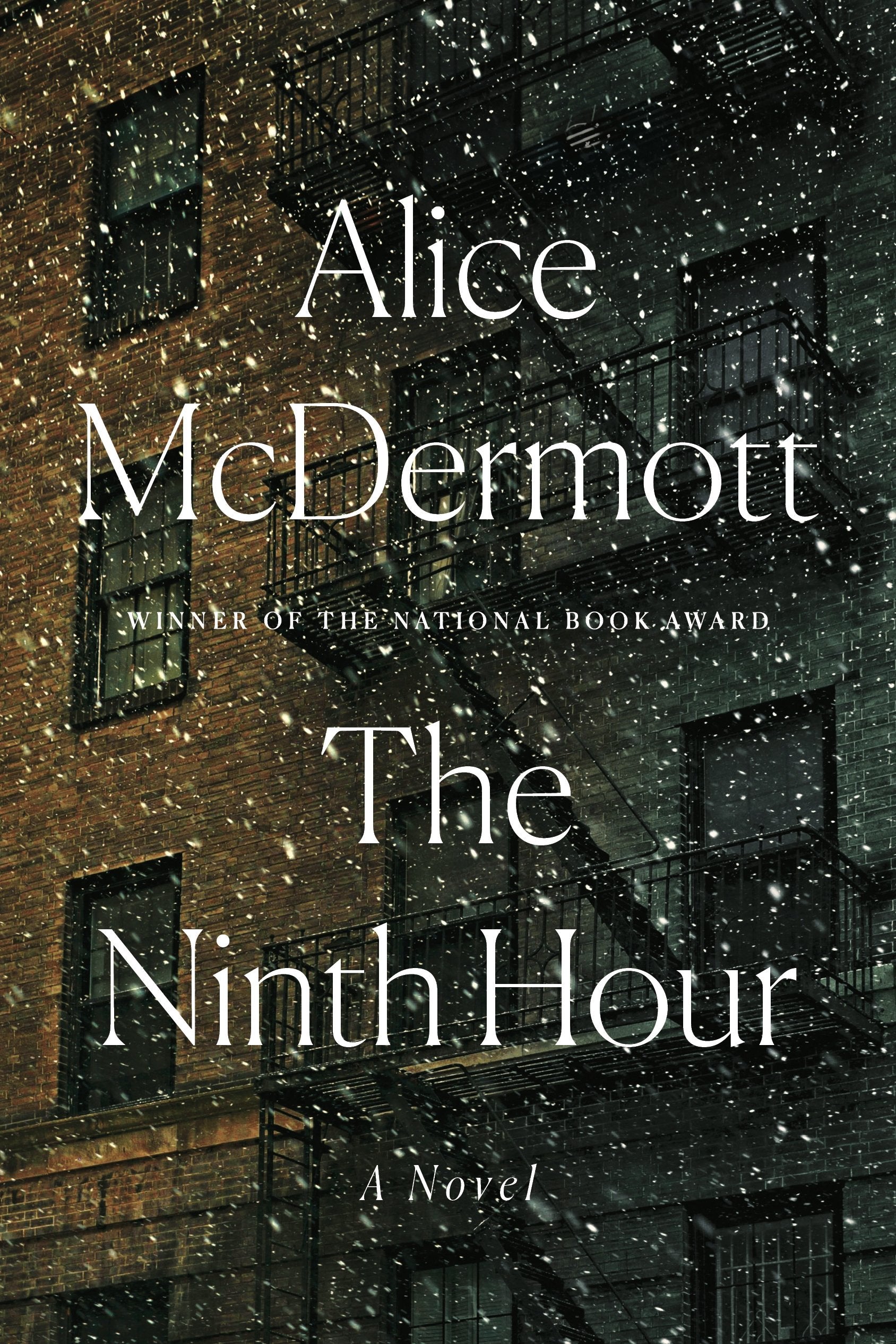 The Ninth Hour: A Novel,Used