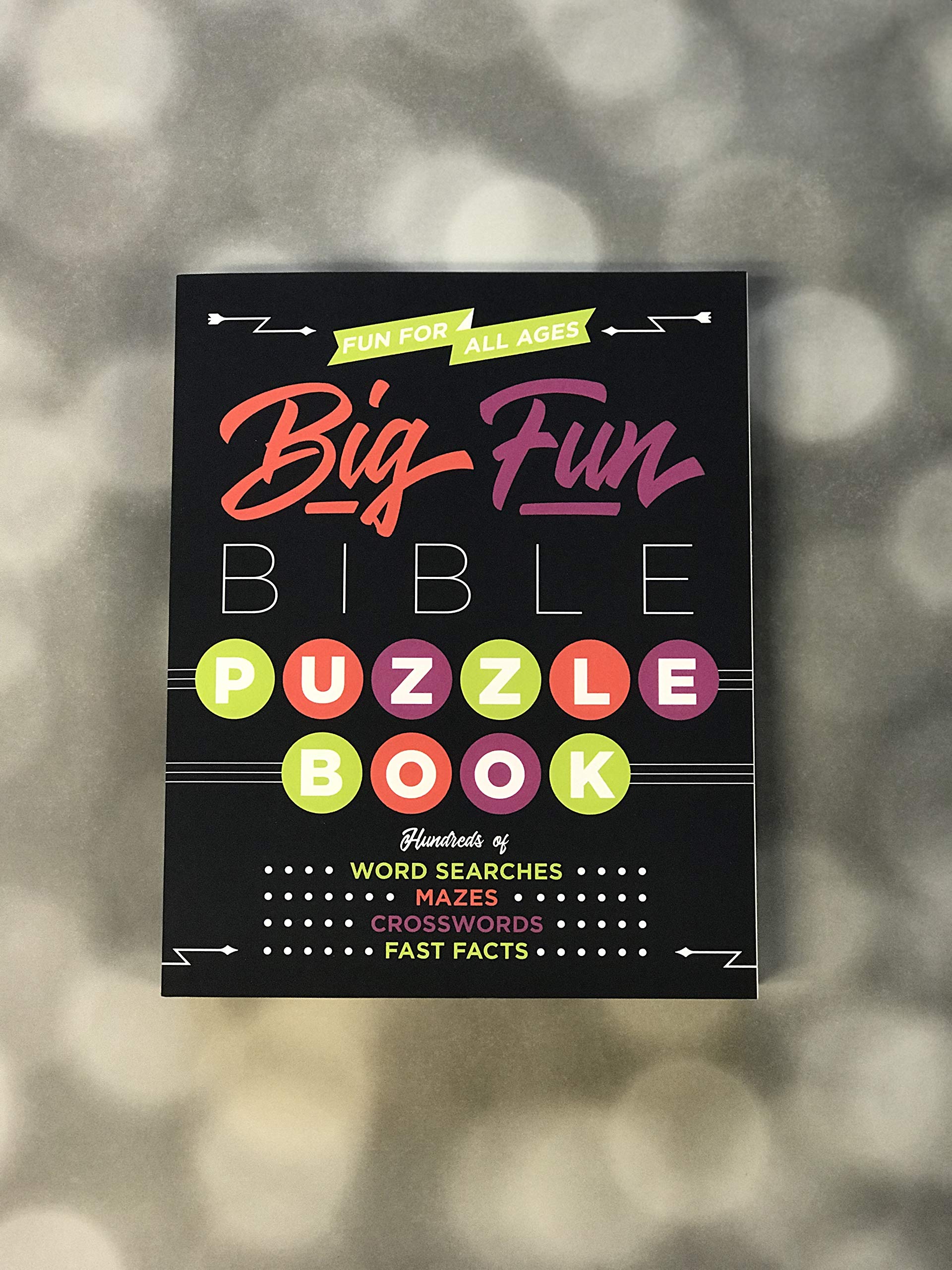 Big Fun Bible Puzzle Book,Used