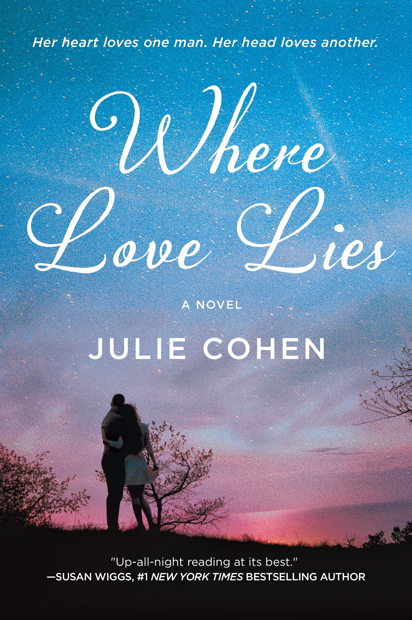 Where Love Lies: A Novel,Used