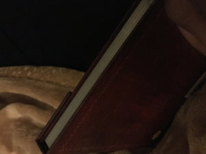Journal Men Professional,Used
