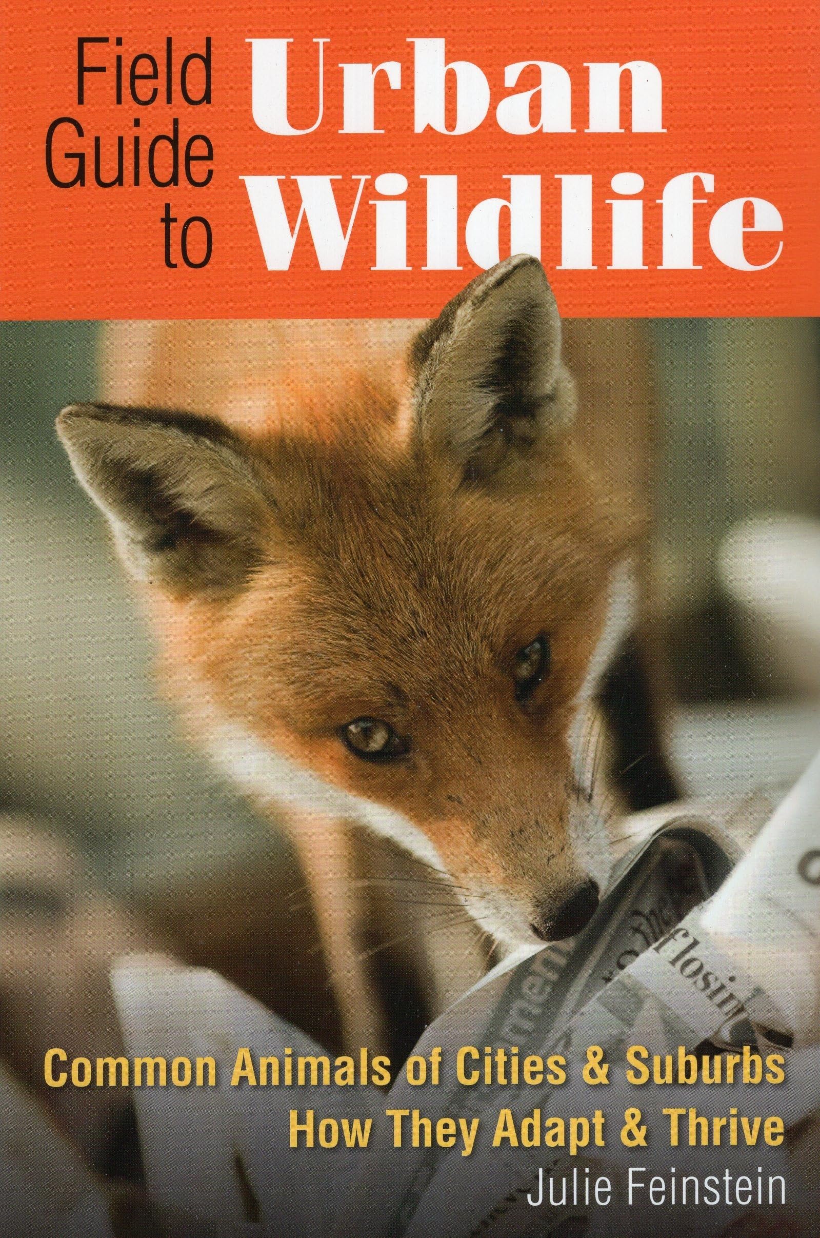 Field Guide To Urban Wildlife: Common Animals Of Cities & Suburbs How They Adapt & Thrive,Used