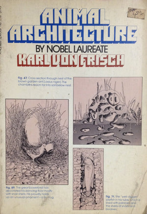 Animal Architecture,Used
