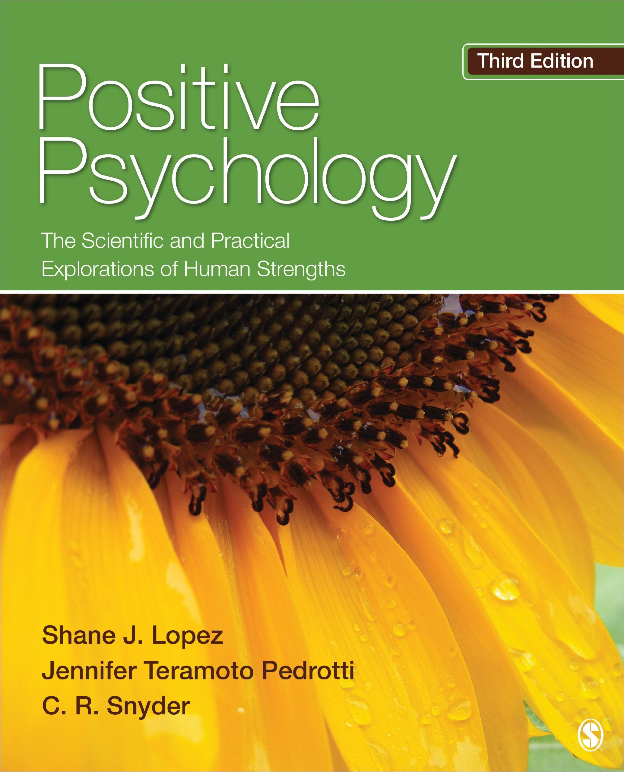 Positive Psychology: The Scientific And Practical Explorations Of Human Strengths