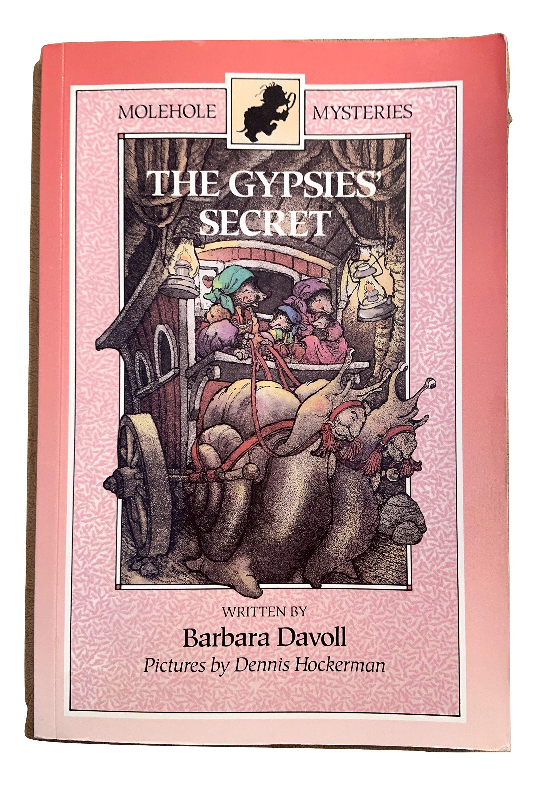 The Gypsies' Secret (Molehole Mysteries),Used