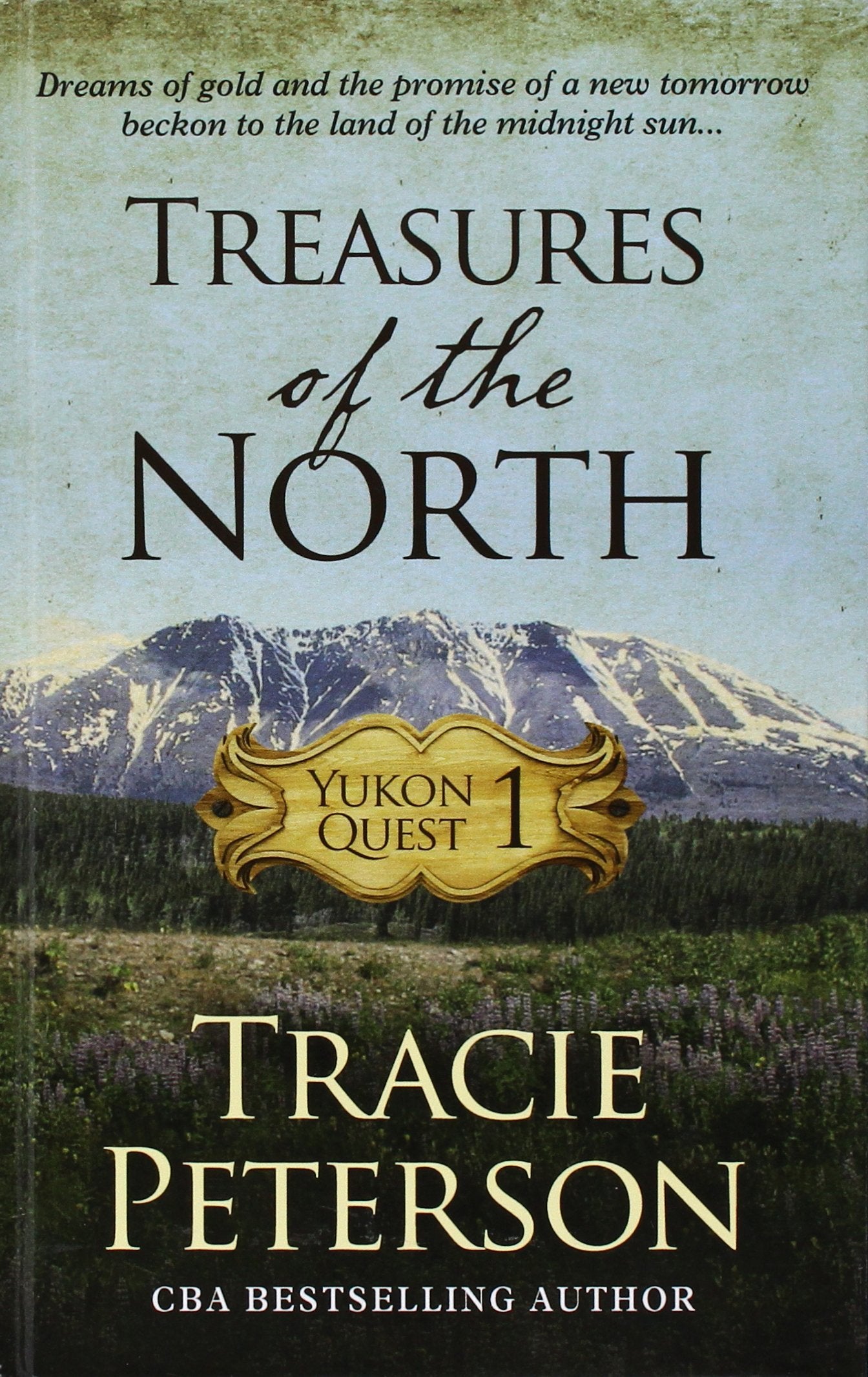 Treasures Of The North (Christian Historical Fiction),Used