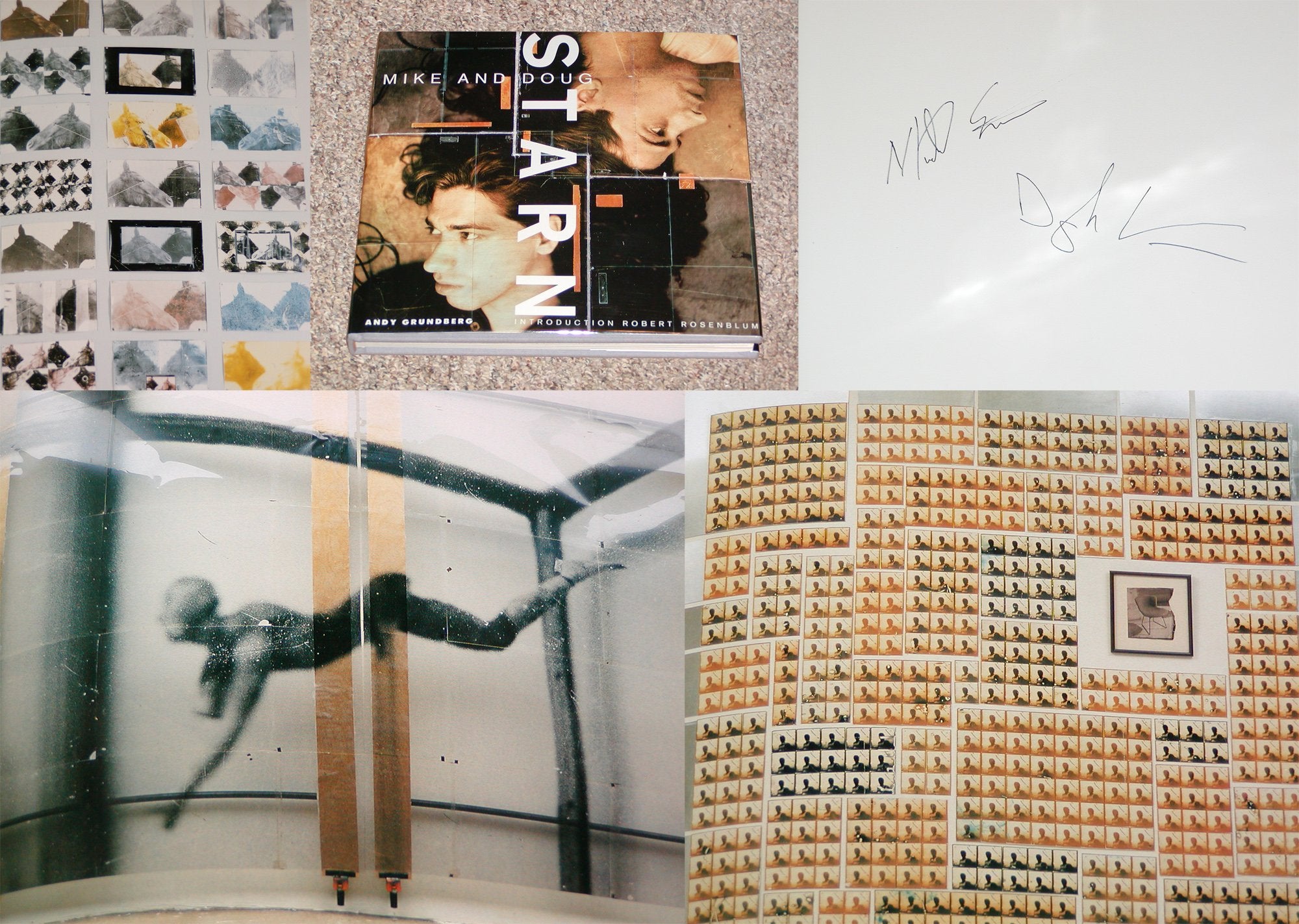 Mike And Doug Starn-used