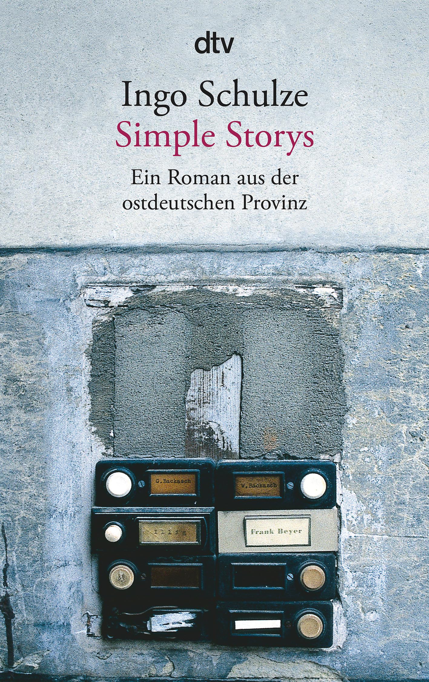 Simple Stories: Ein Roman Aus der Ostdeutschen Provinz (DTV) (German Edition),Used