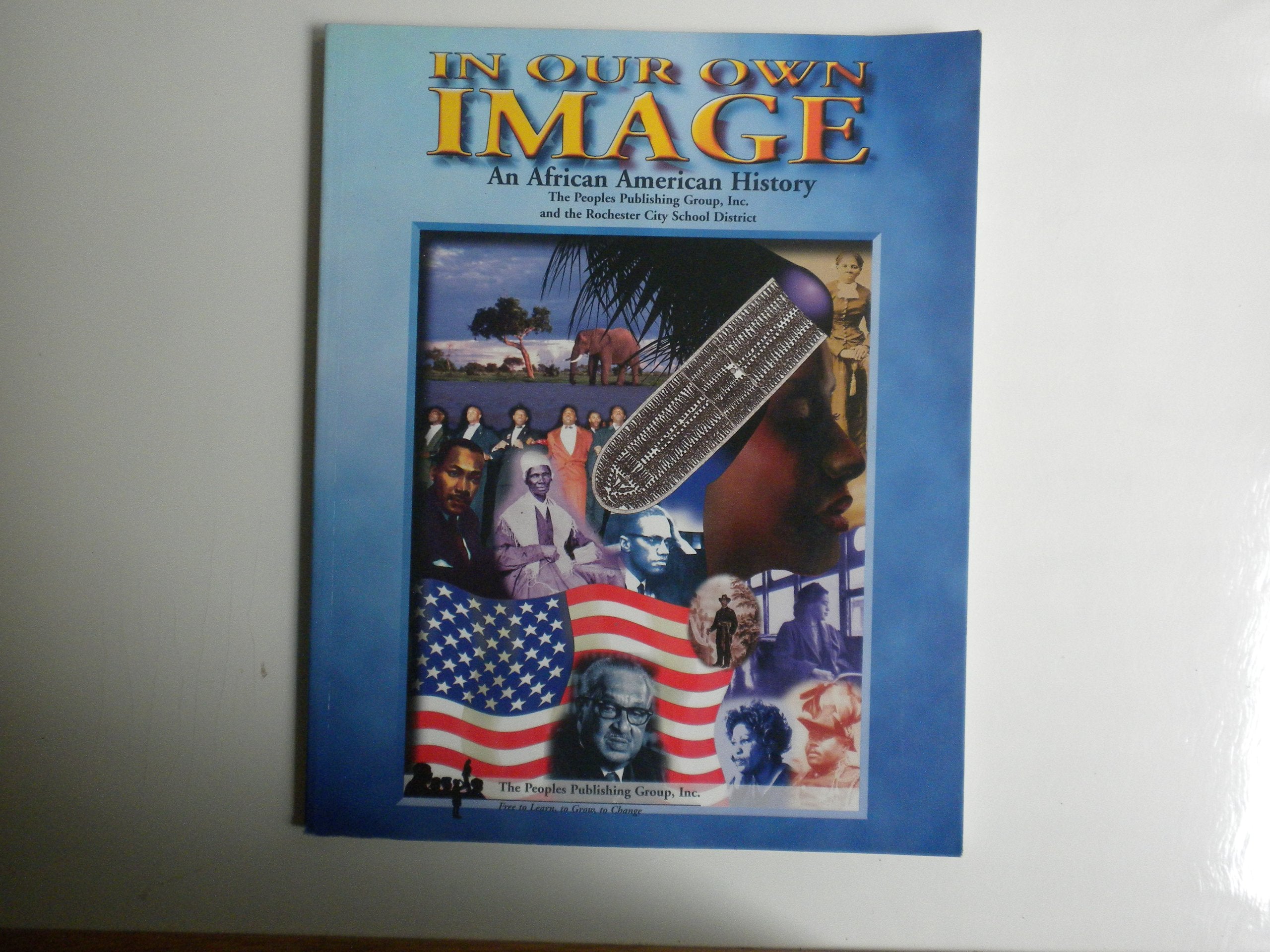 In Our Own Image: An African American History,Used
