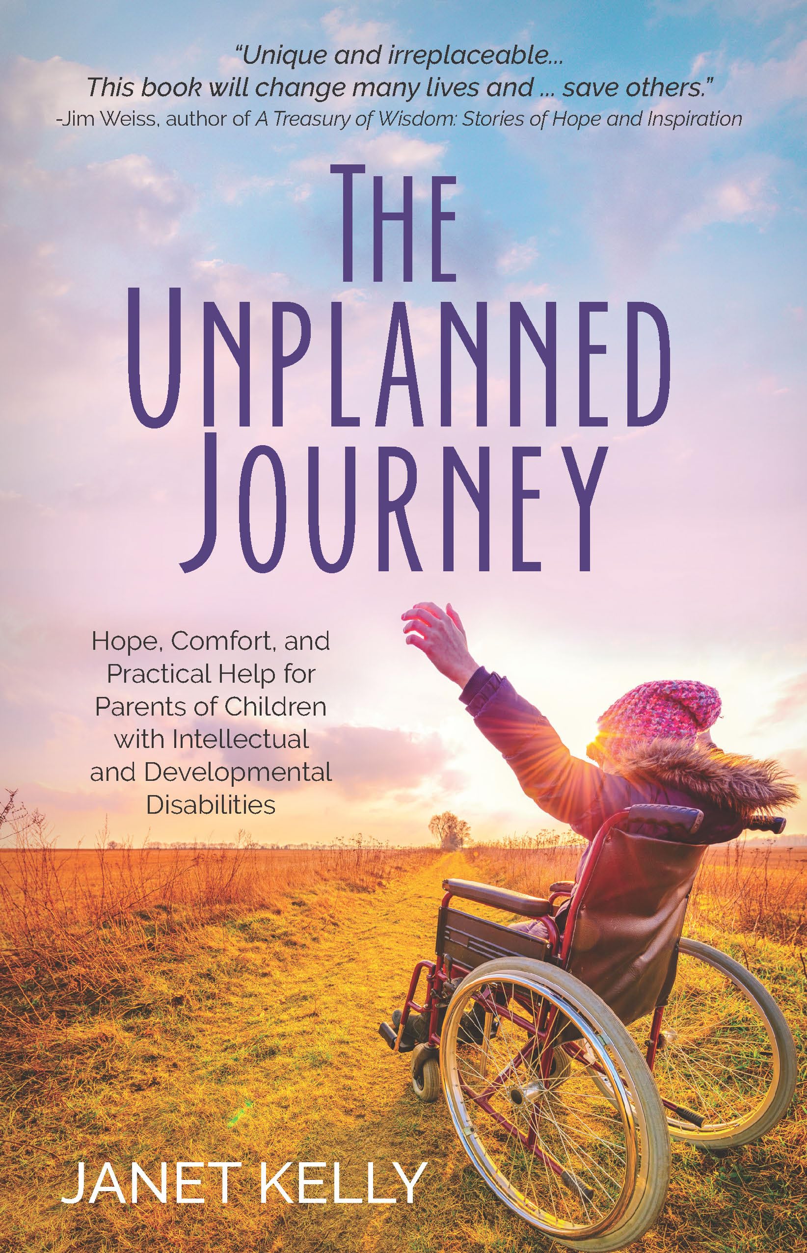 The Unplanned Journey: Hope, Comfort, and Practical Help for Parents of Children with Intellectual and Developmental Disabilitie,New