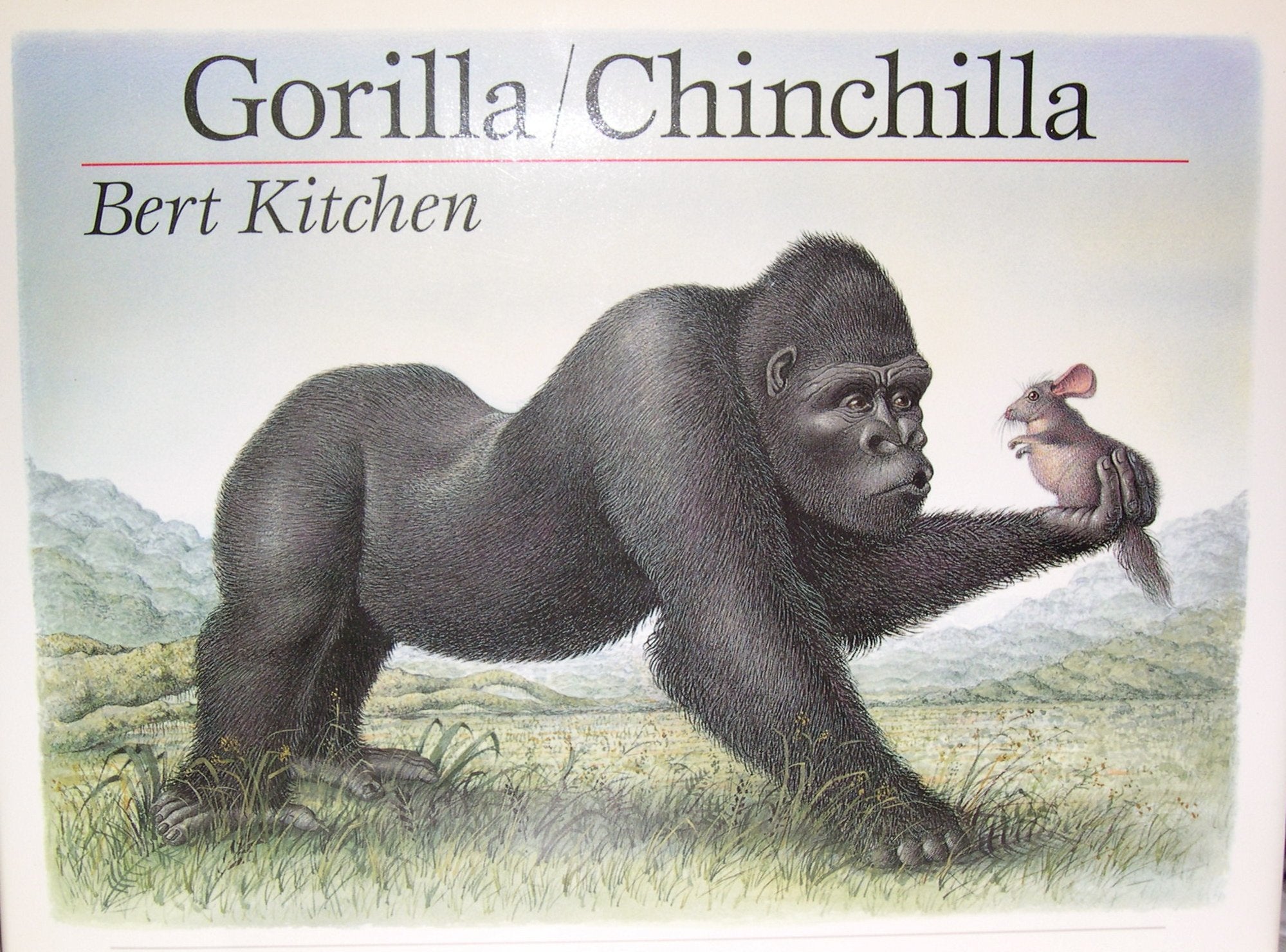 Gorilla/Chinchilla,Used