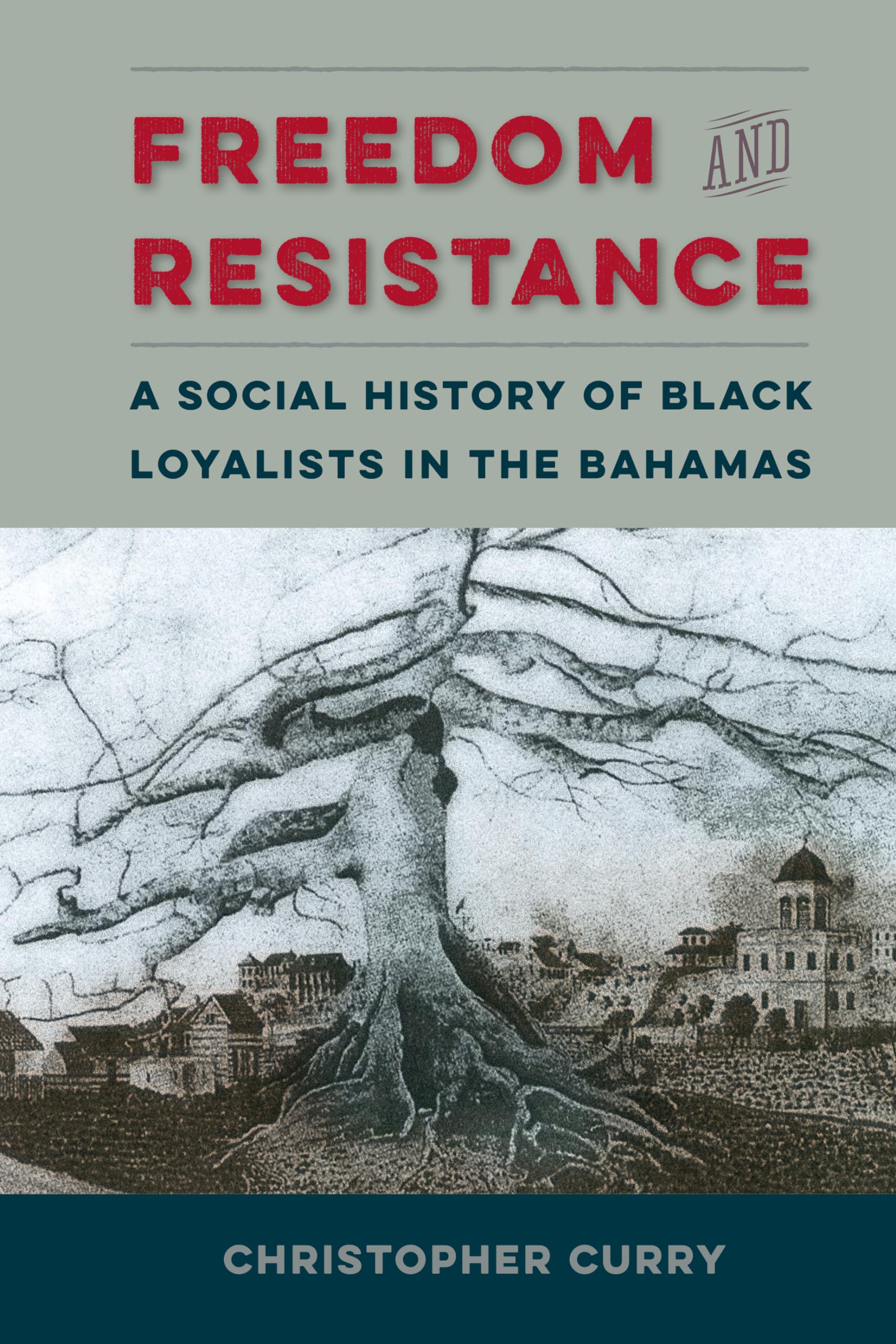 Freedom And Resistance: A Social History Of Black Loyalists In The Bahamas (Contested Boundaries),Used