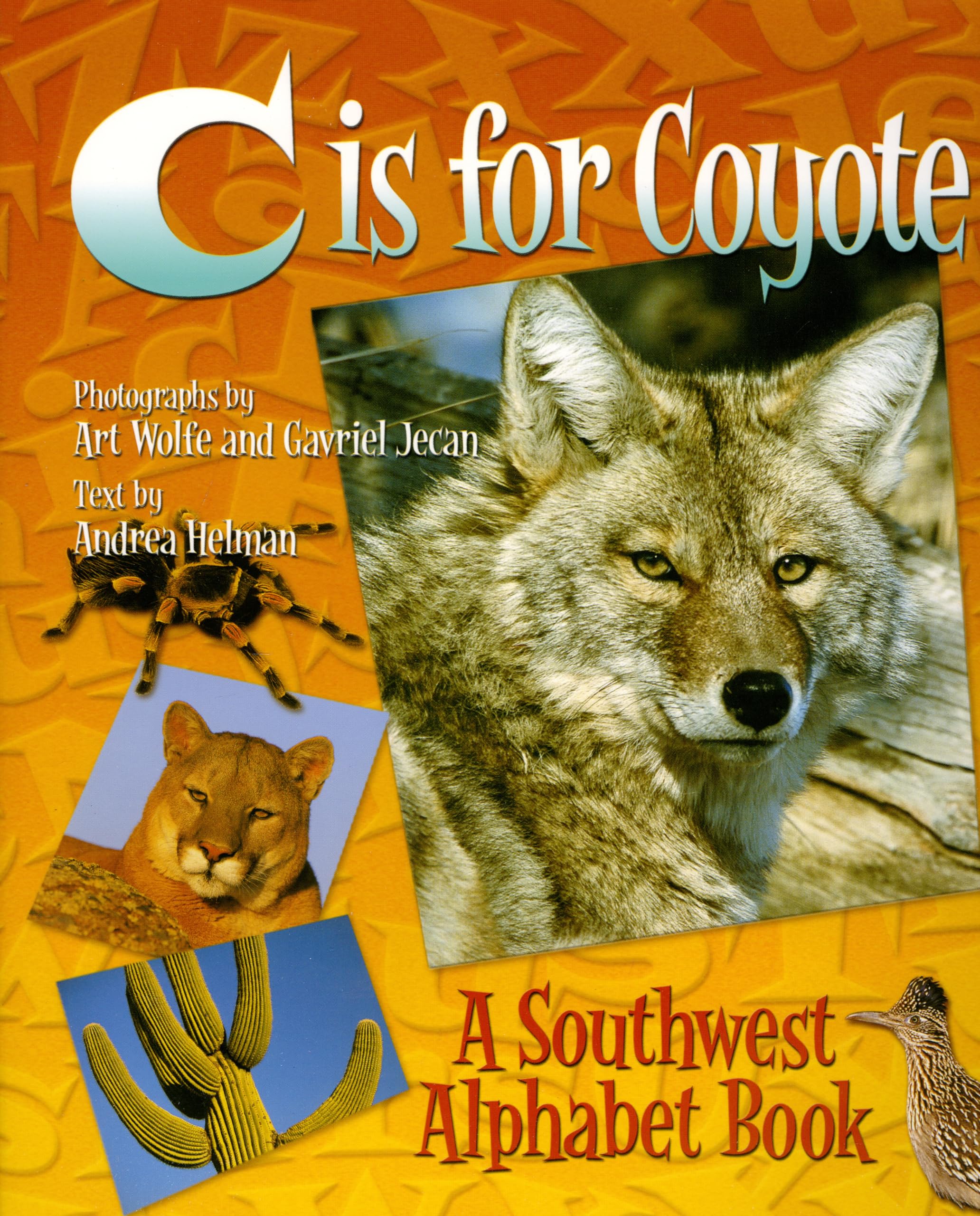 C Is for Coyote : A Southwest Alphabet Book,Used