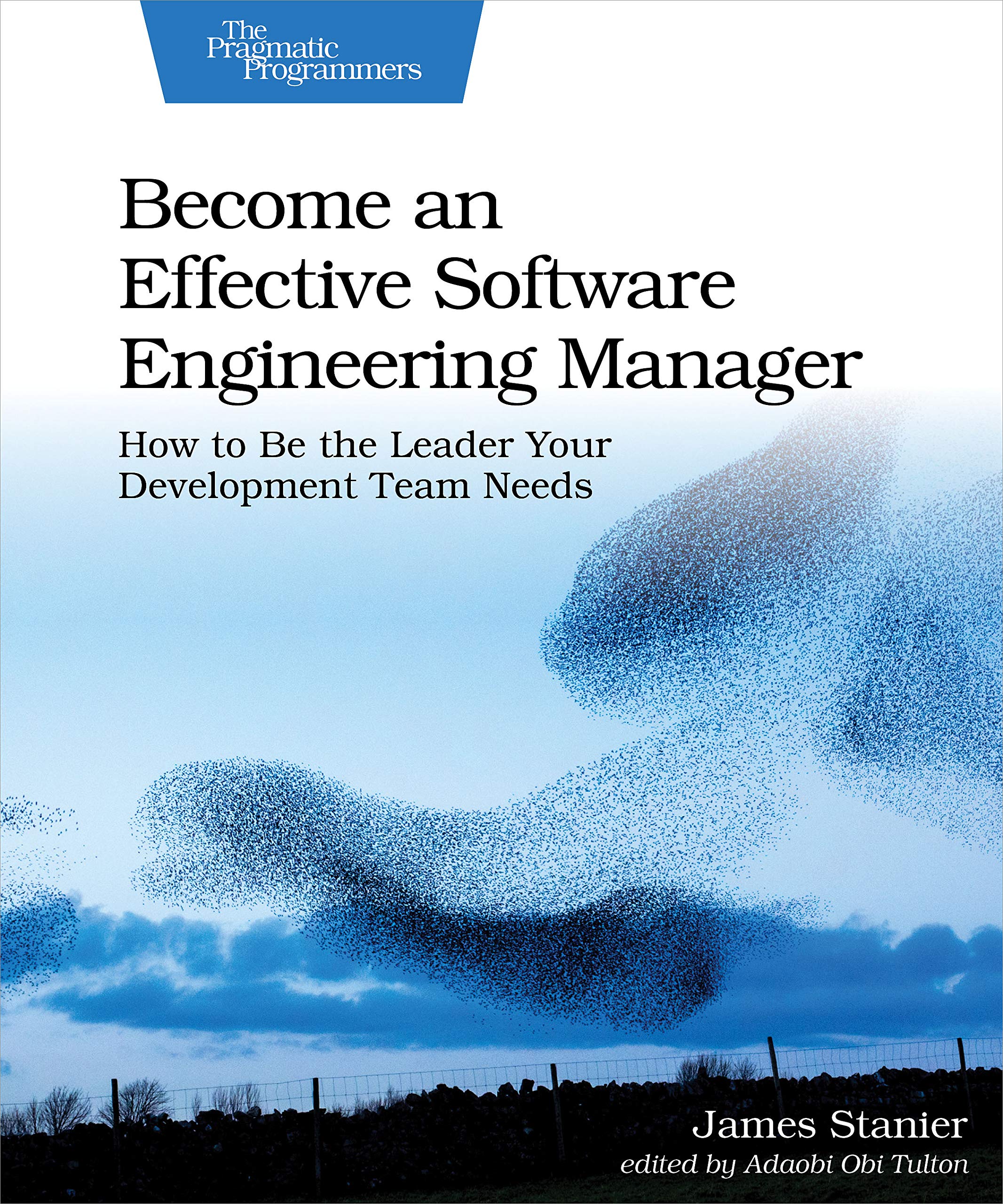 Become An Effective Software Engineering Manager: How To Be The Leader Your Development Team Needs