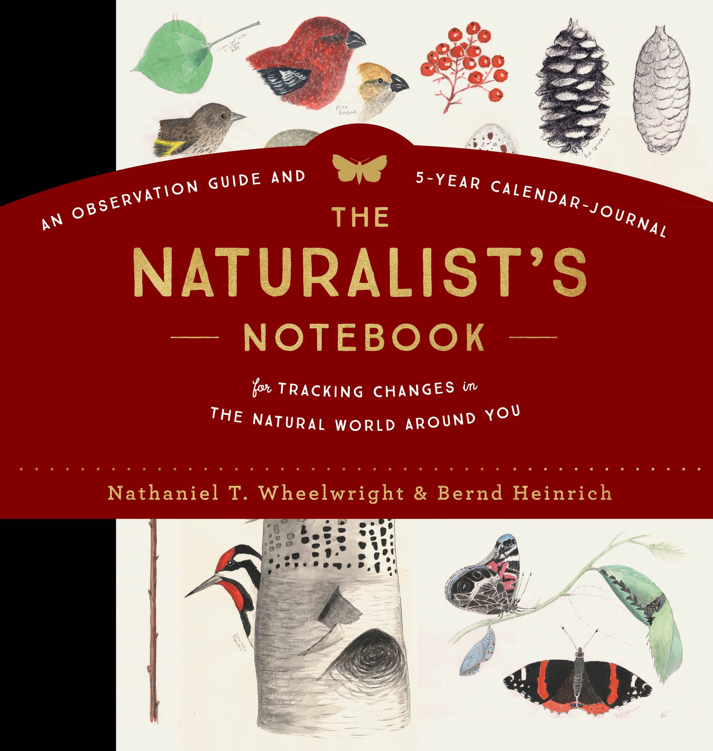 The Naturalist'S Notebook: An Observation Guide And 5Year Calendarjournal For Tracking Changes In The Natural World Around You