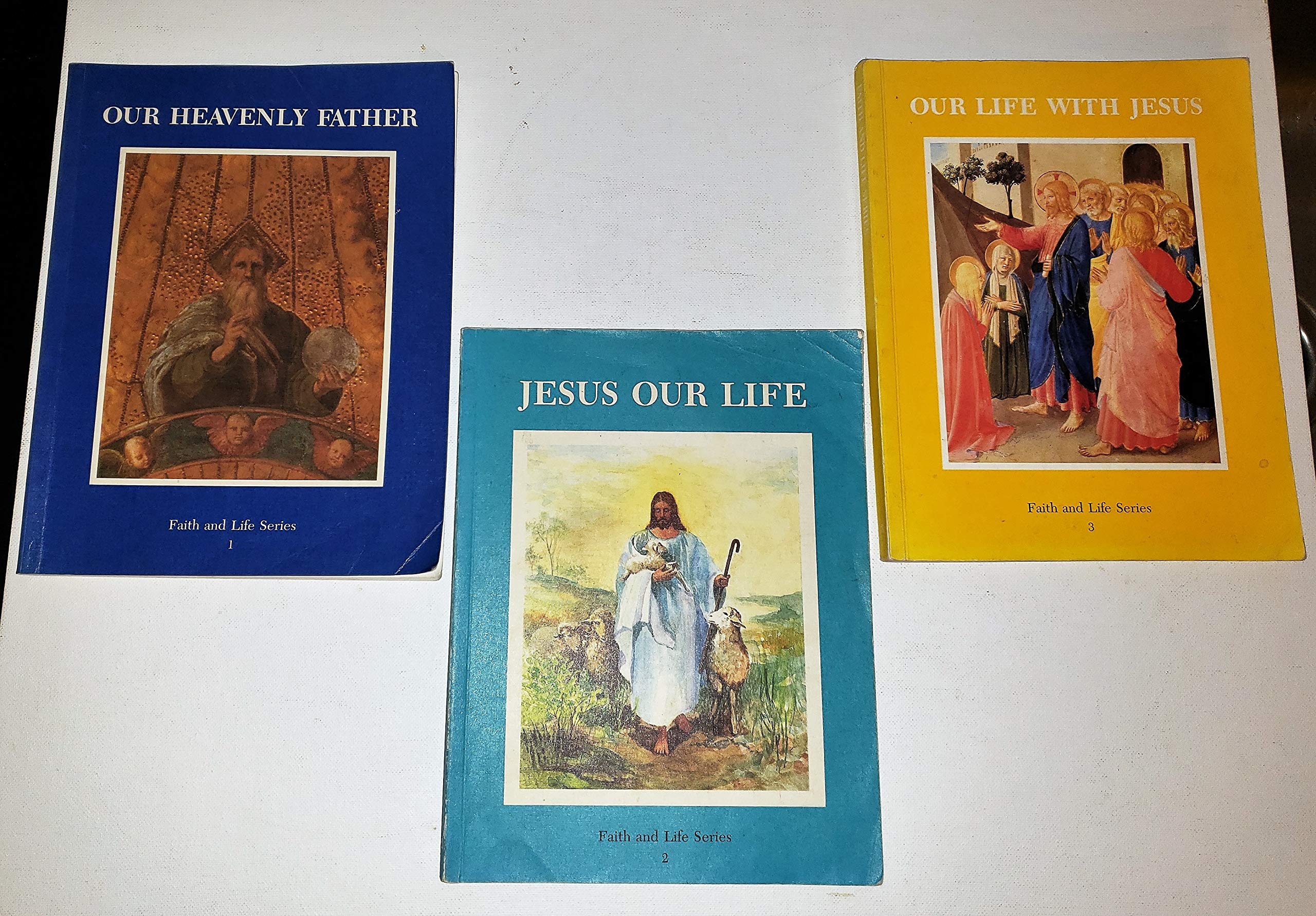 Our Life with Jesus (Activity Book),Used