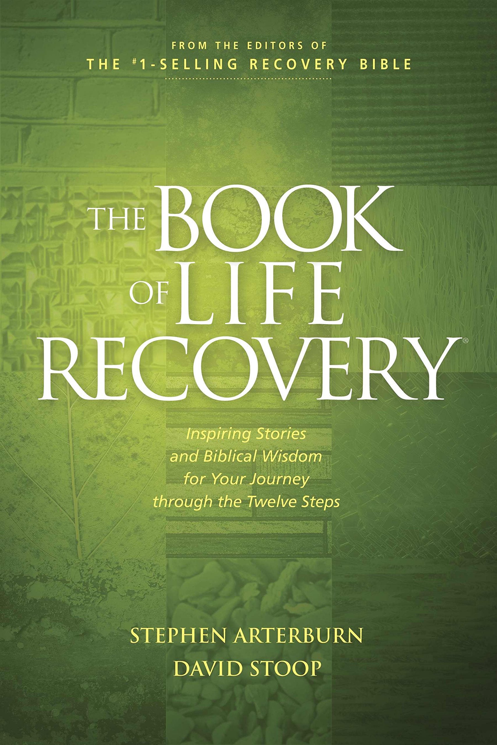 The Book Of Life Recovery: Inspiring Stories And Biblical Wisdom For Your Journey Through The Twelve Steps